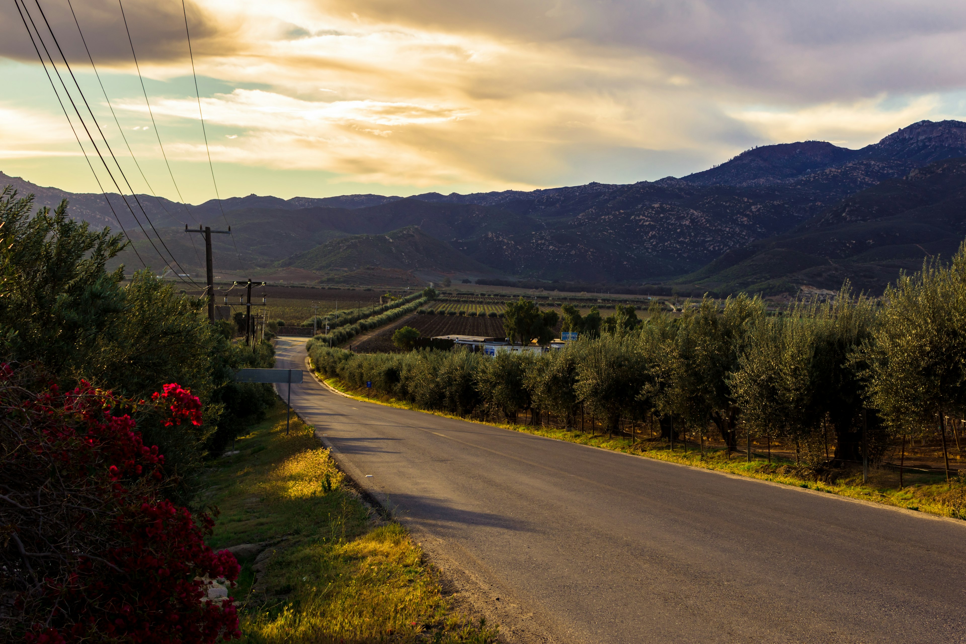 A road leads through a valley with dramatic sunlight. Bushes line the road, and a ridge of hills is visible in the distance.