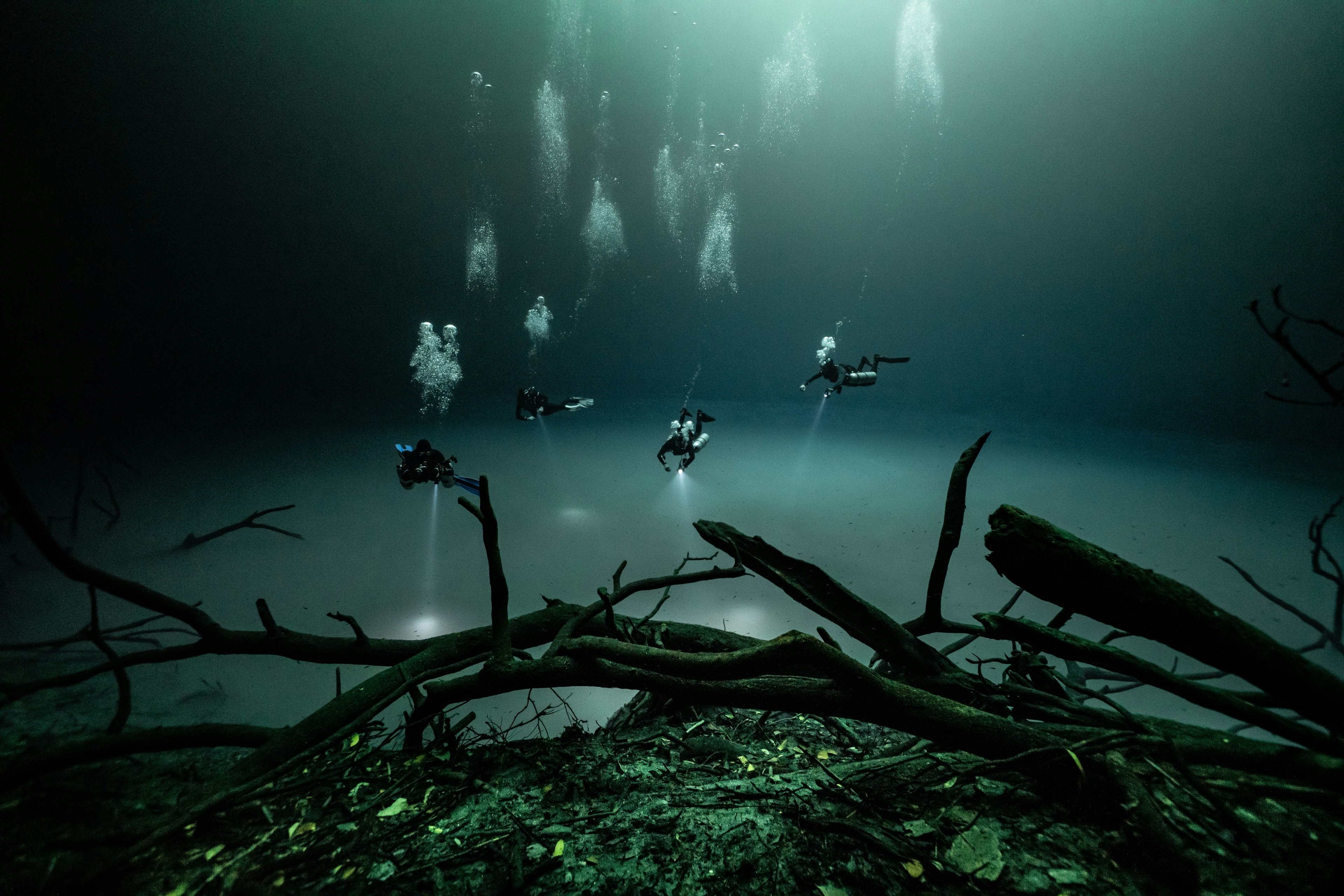 Scuba divers shine beams into the depths of a murky freshwater body of water. Bubbles are visible above the divers, and submerged branches are visible in the foreground of the shot.