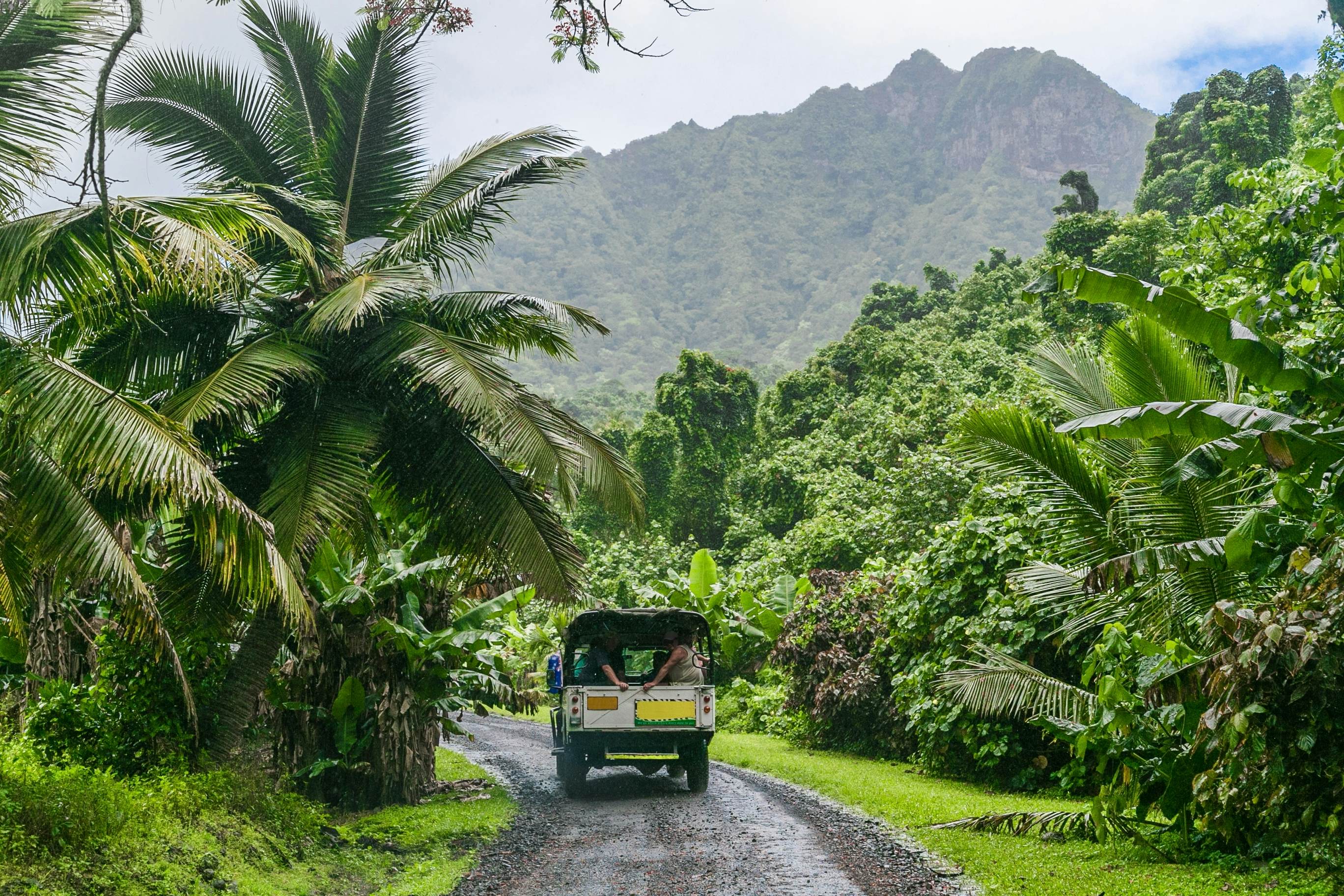 A jeep on a jungle road on the Cook Islands, Rarotonga.