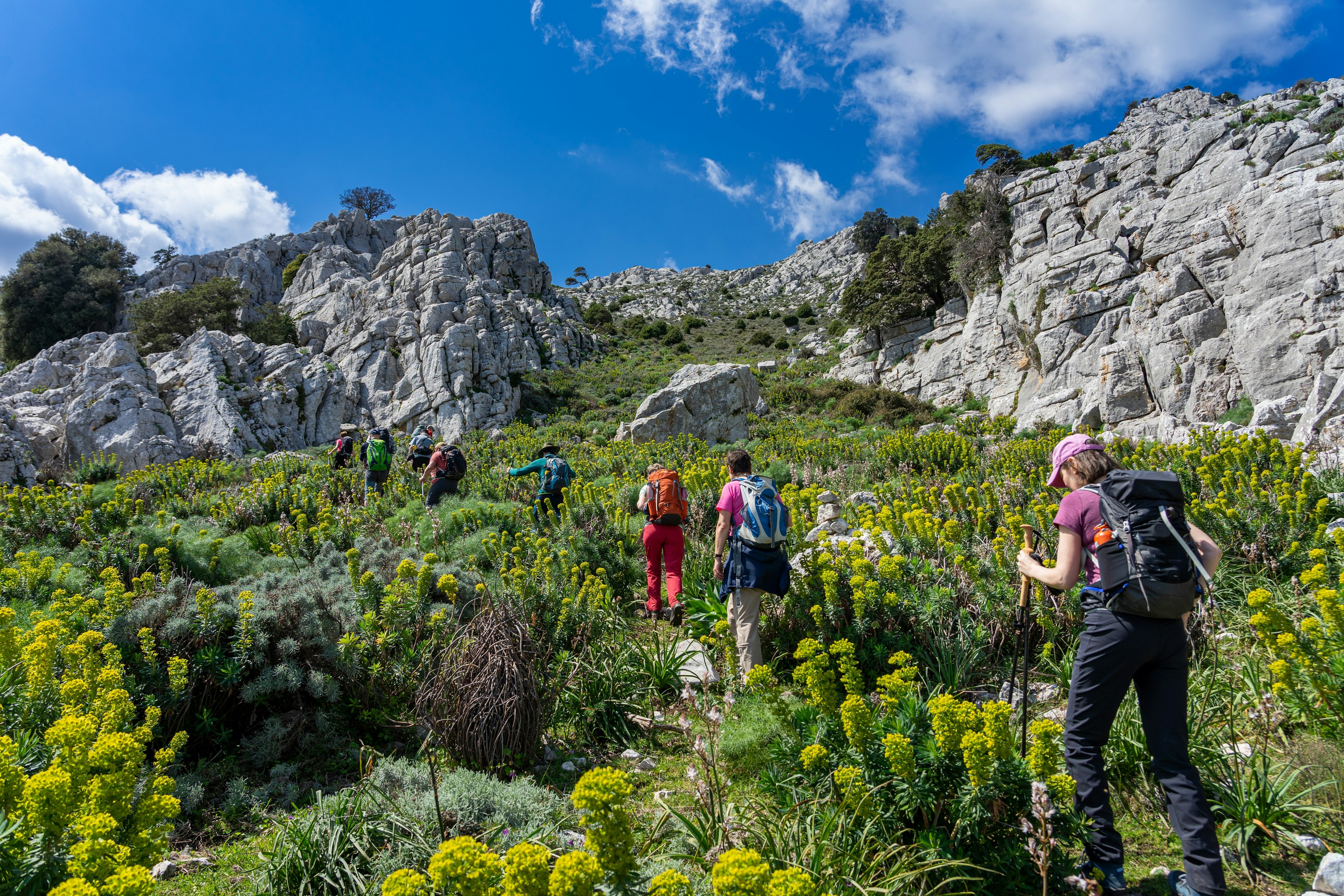 Hiking holidays in Sardinia, Italy: hiking in the karst Supramonte mountains, Monte Albo, Punta Cupeti - a hikers group walk