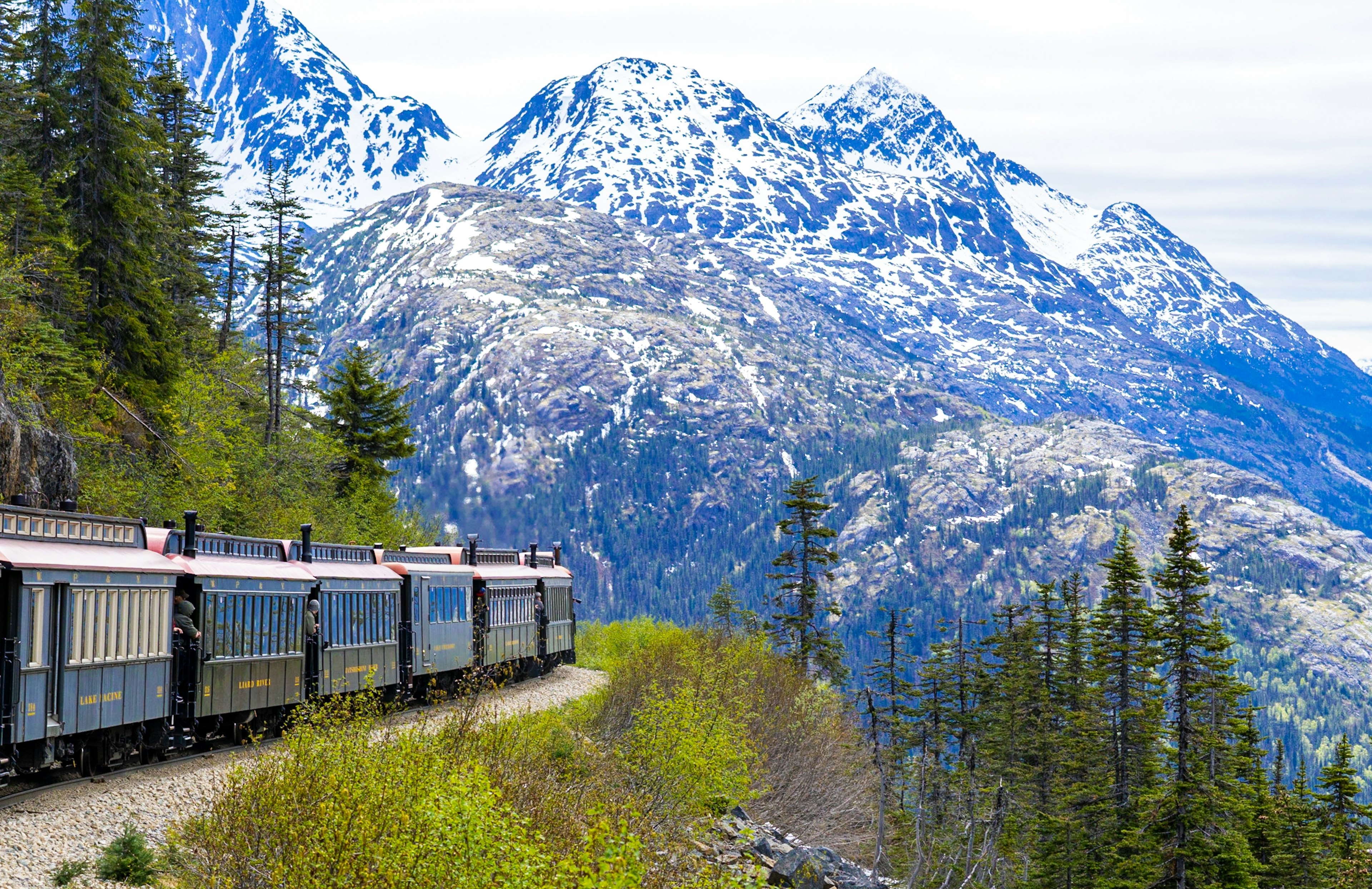 A train with historic passenger cars hugs a curve on a slope with green trees and dramatic snow-covered mountains across the valley