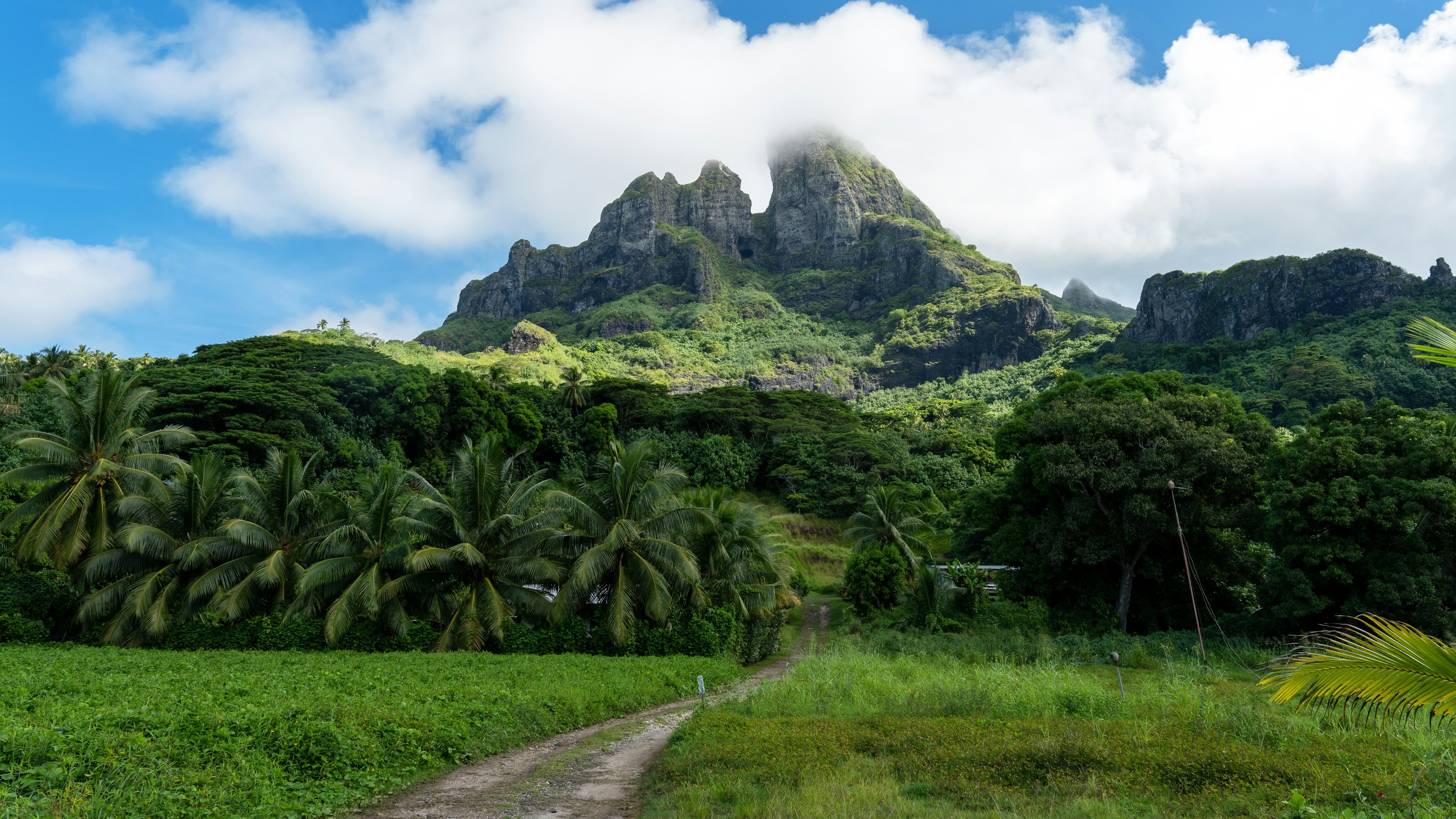 A trail leads into dense undergrowth and up a pointed mountain with the tip covered by clouds