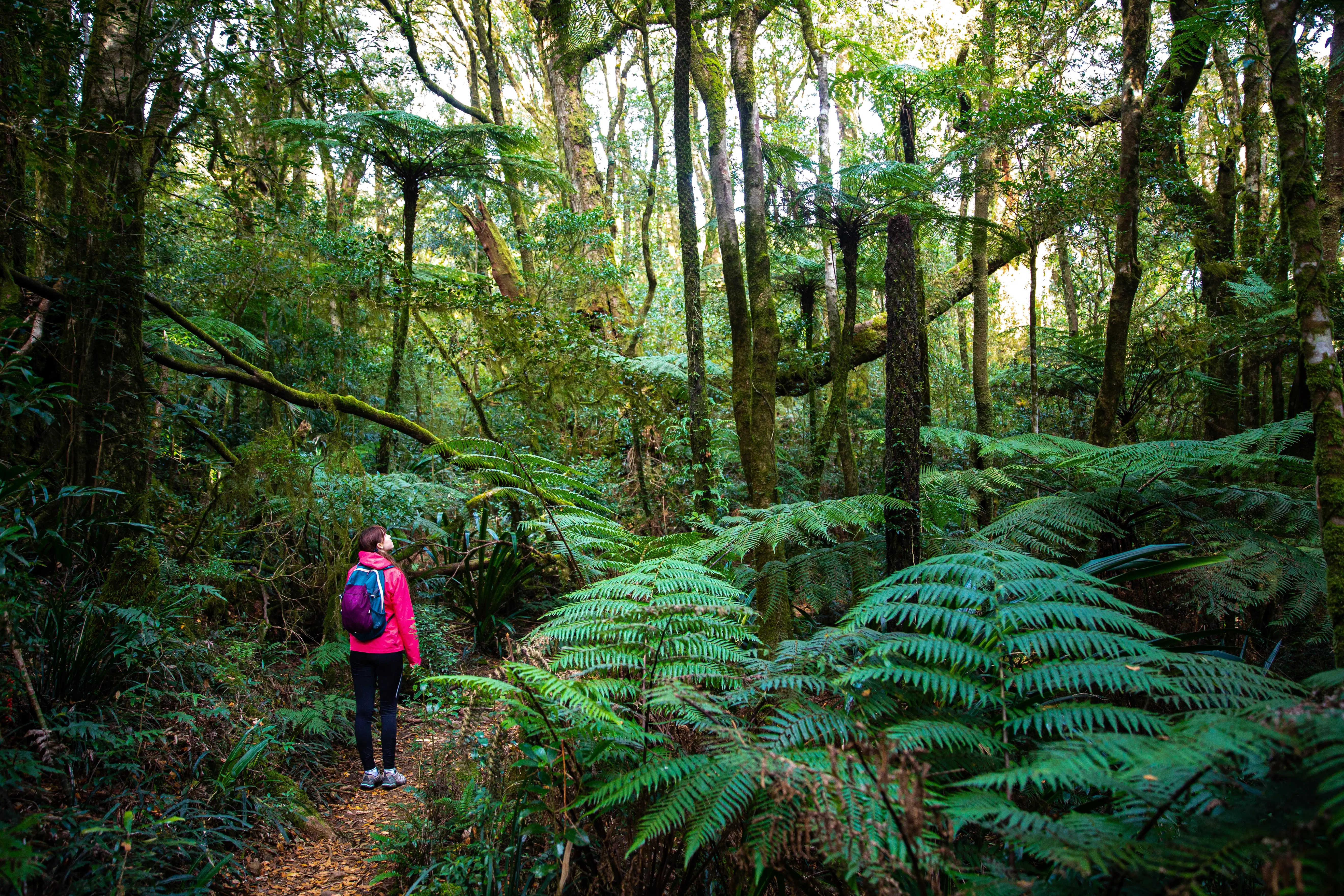12 of the best hikes in Australia - Lonely Planet