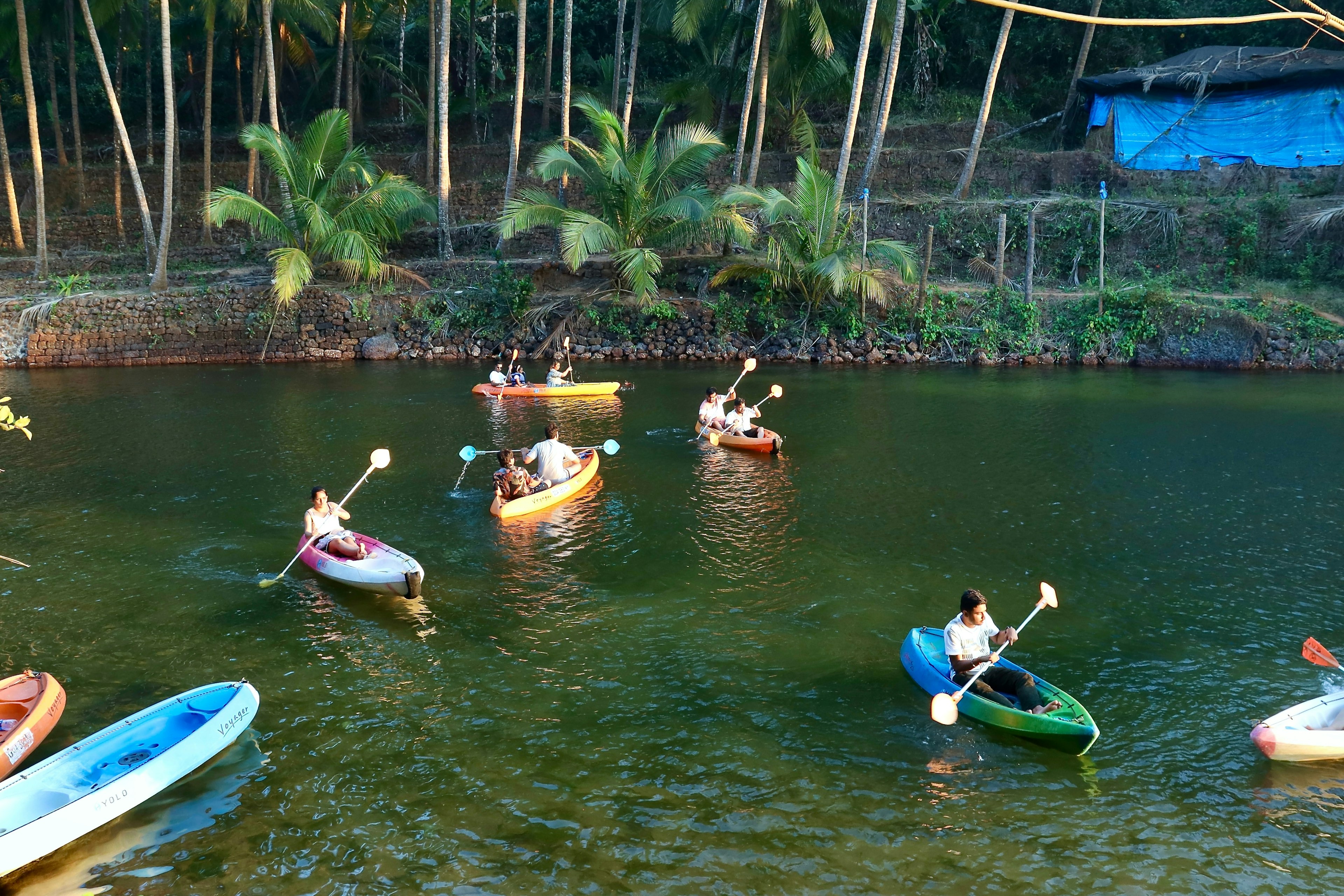 People in single and double kayaks paddle in a shallow lagoon in the shade of palm trees