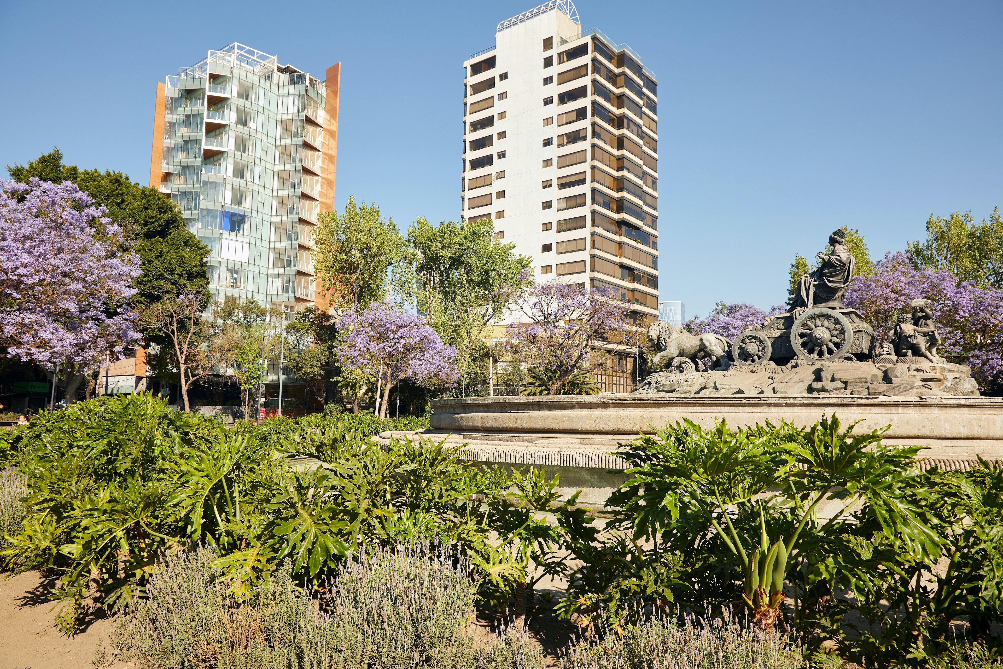 An ornate fountain in a park surrounded by jacaranda trees with lilac flowers