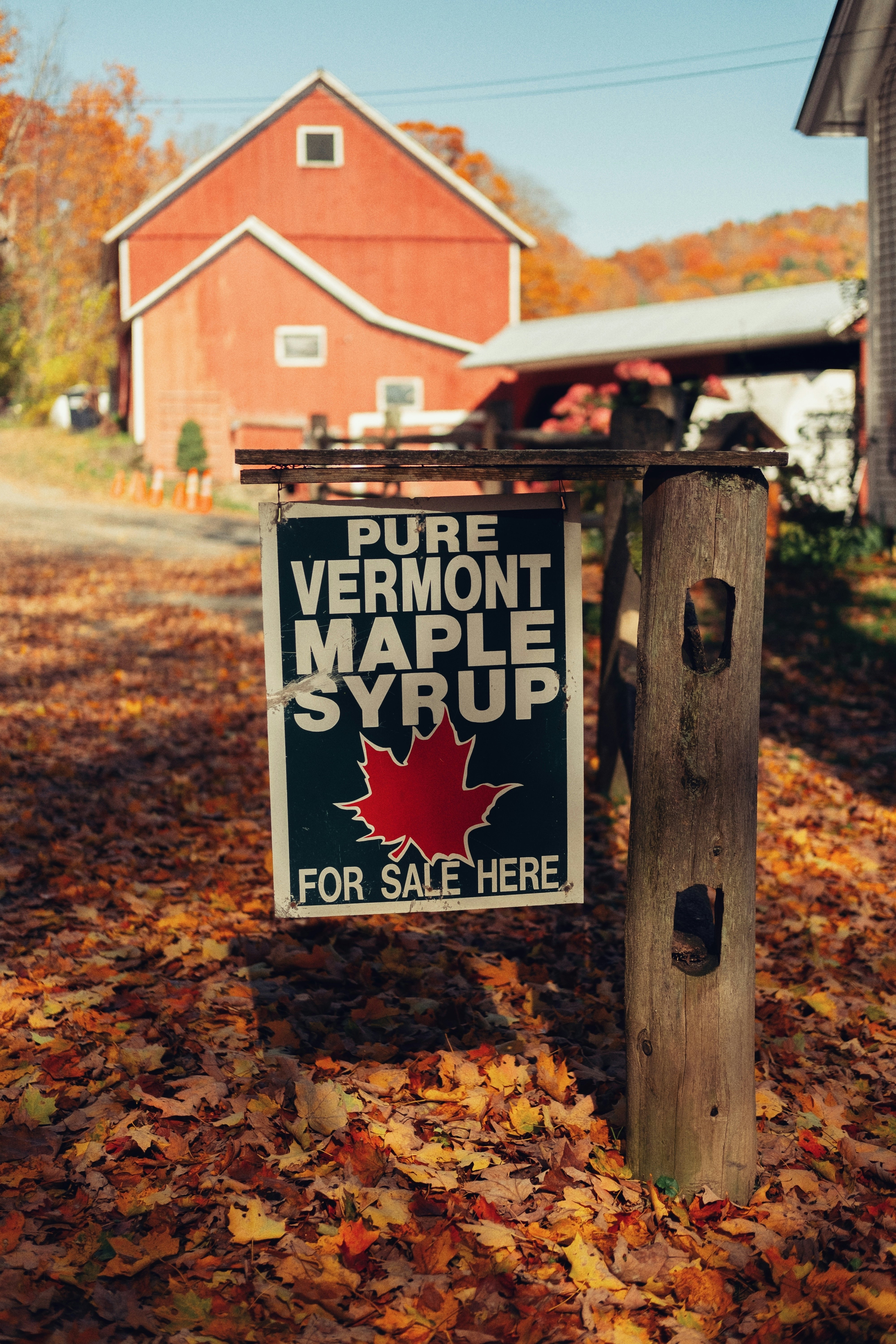 woodstock vermont maple syrup farm.