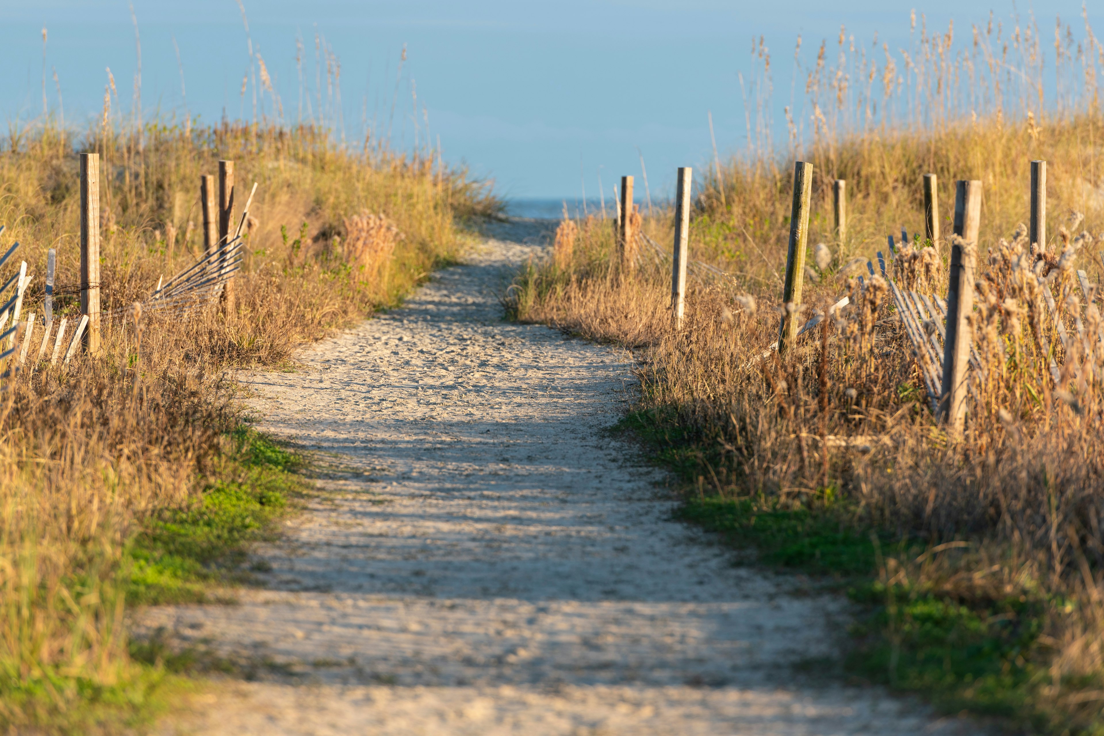 Path to Sand Beach in Isle of Palms, South Carolina