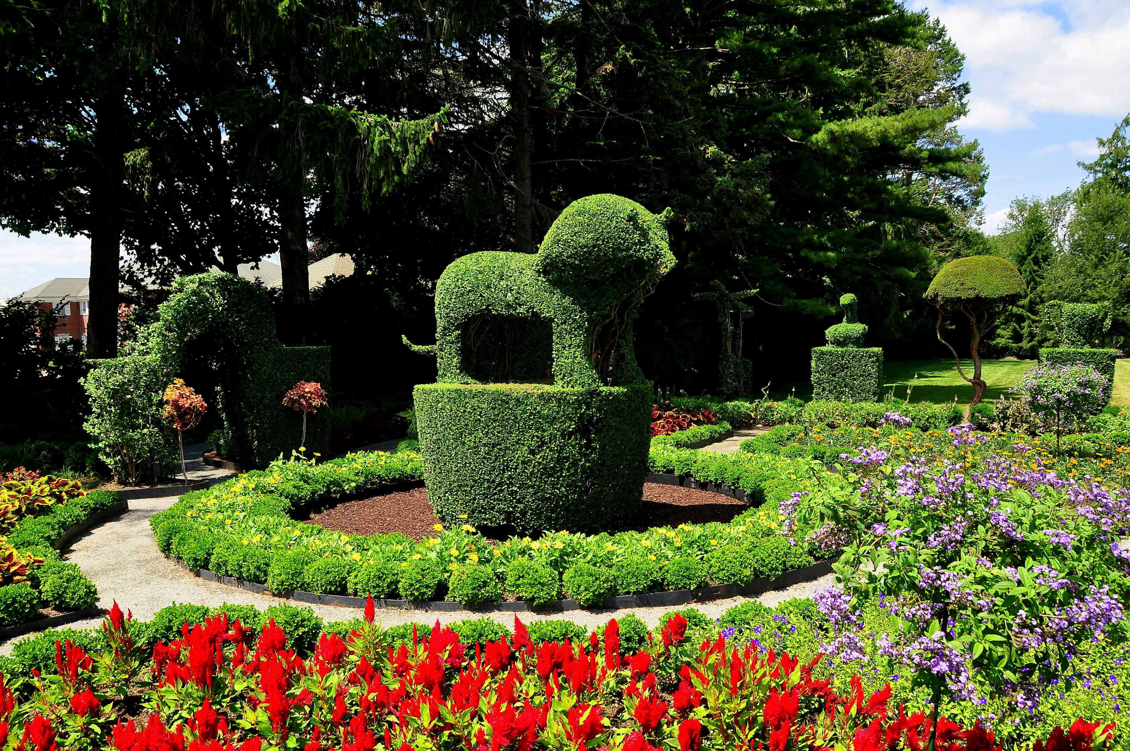 A regal topiary lion surrounded by colorful annuals at Green Animals Topiary Gardens,