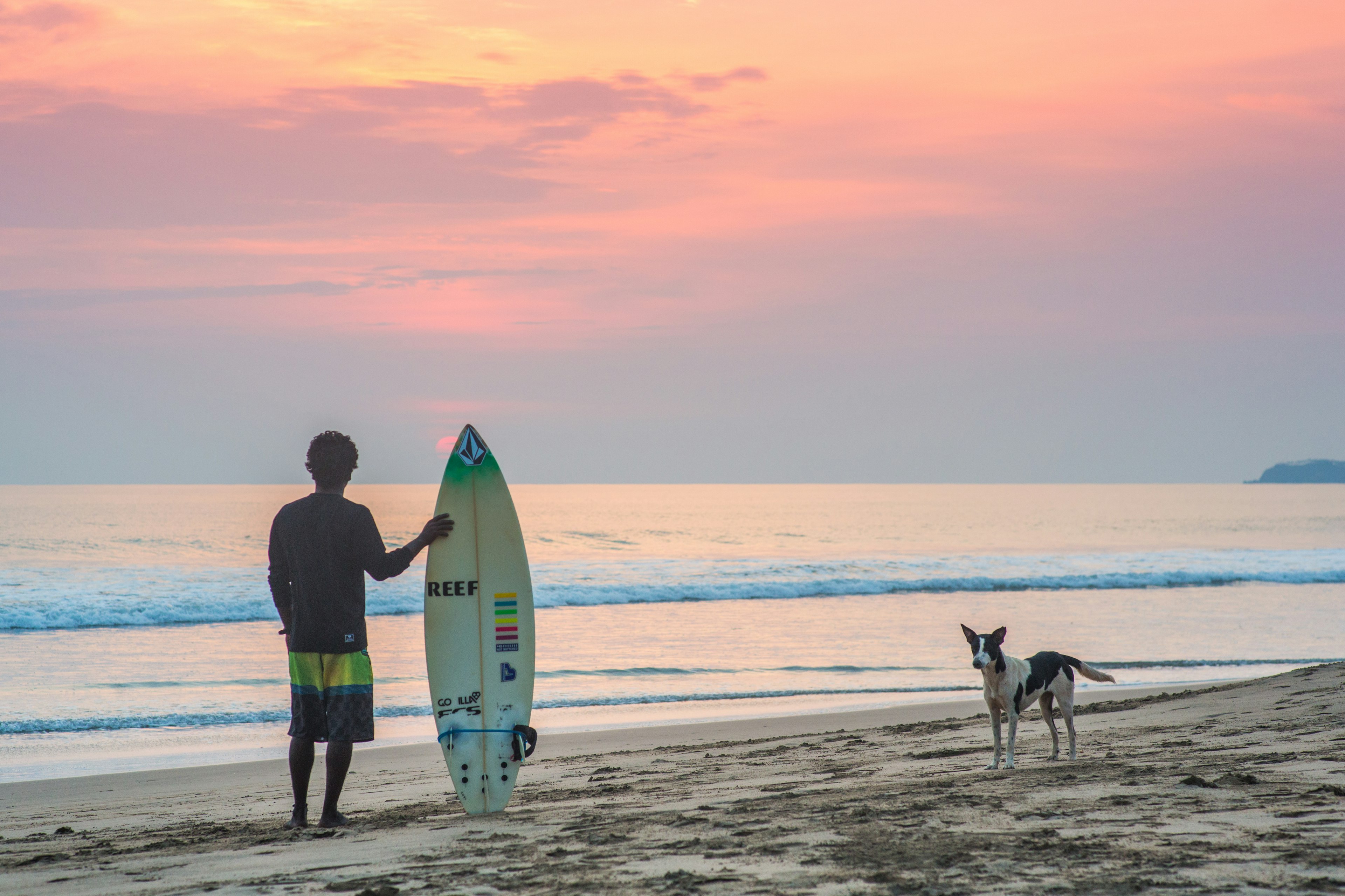 A man stands next to an upright surfboard while staring out at the water at sunset on a beach. A brown-and-white dog is seen to the right.