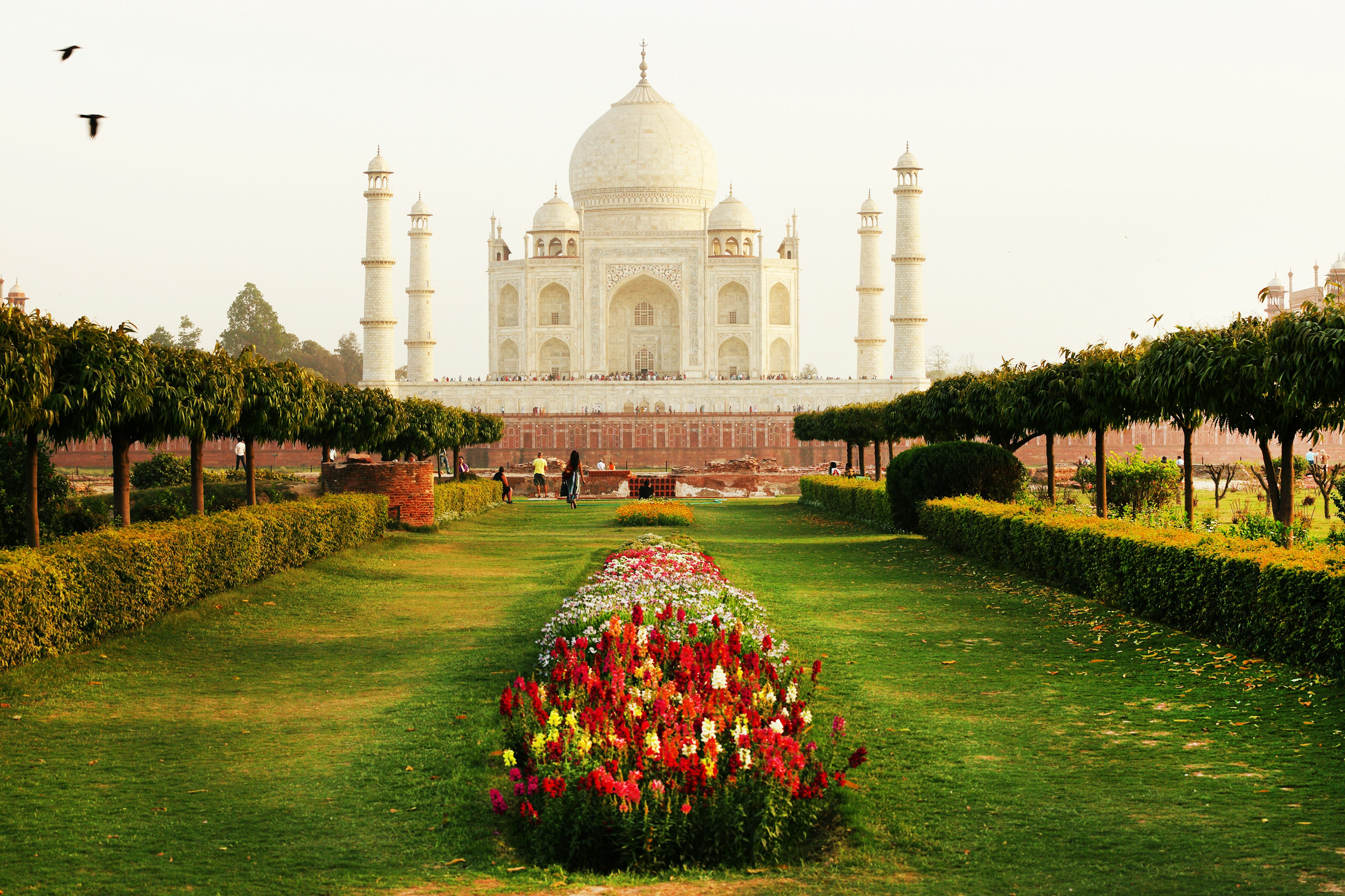 Taj Mahal in sunset light, Agra, Uttar Pradesh, India