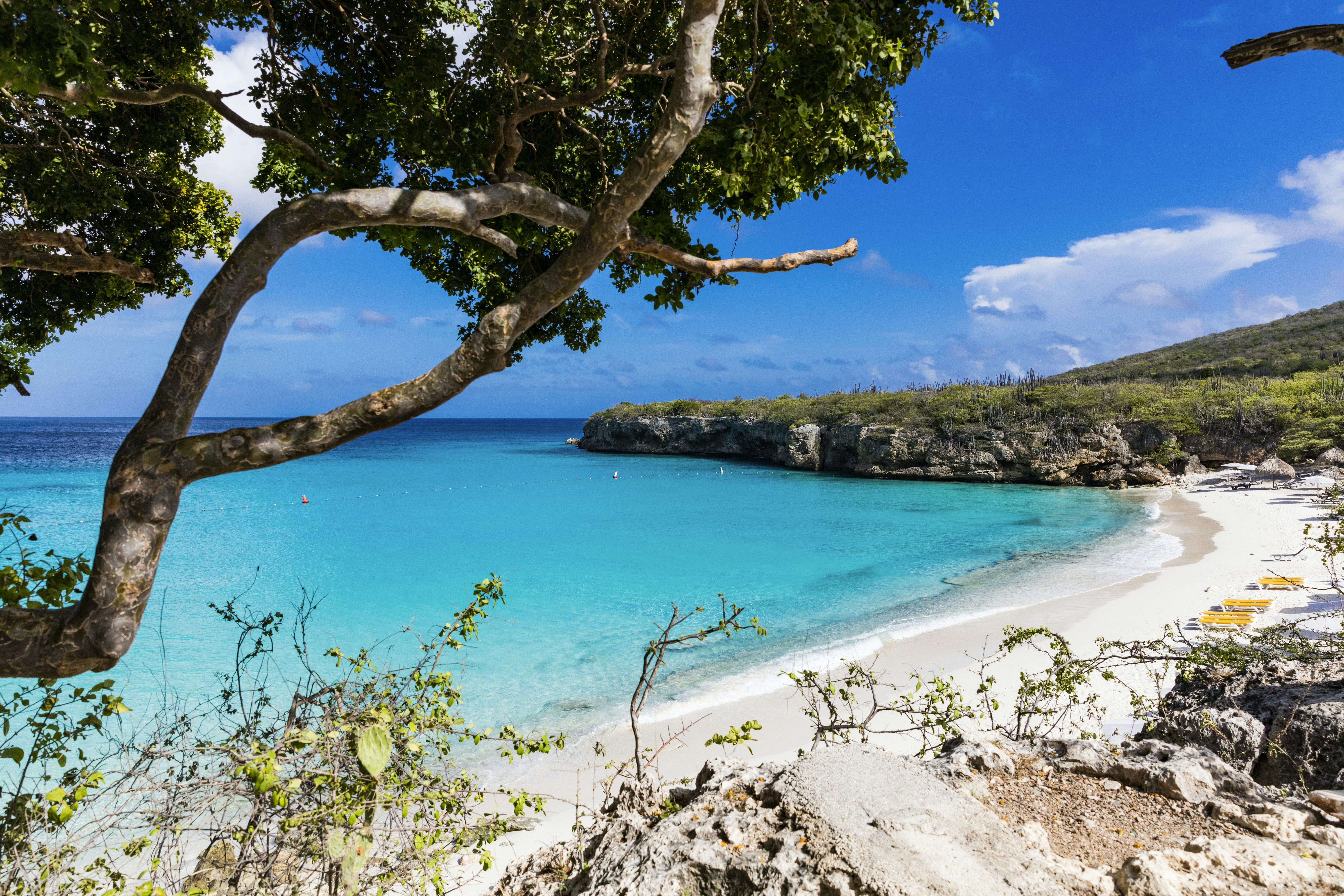 A pristine sand beach with yellow sunloungers