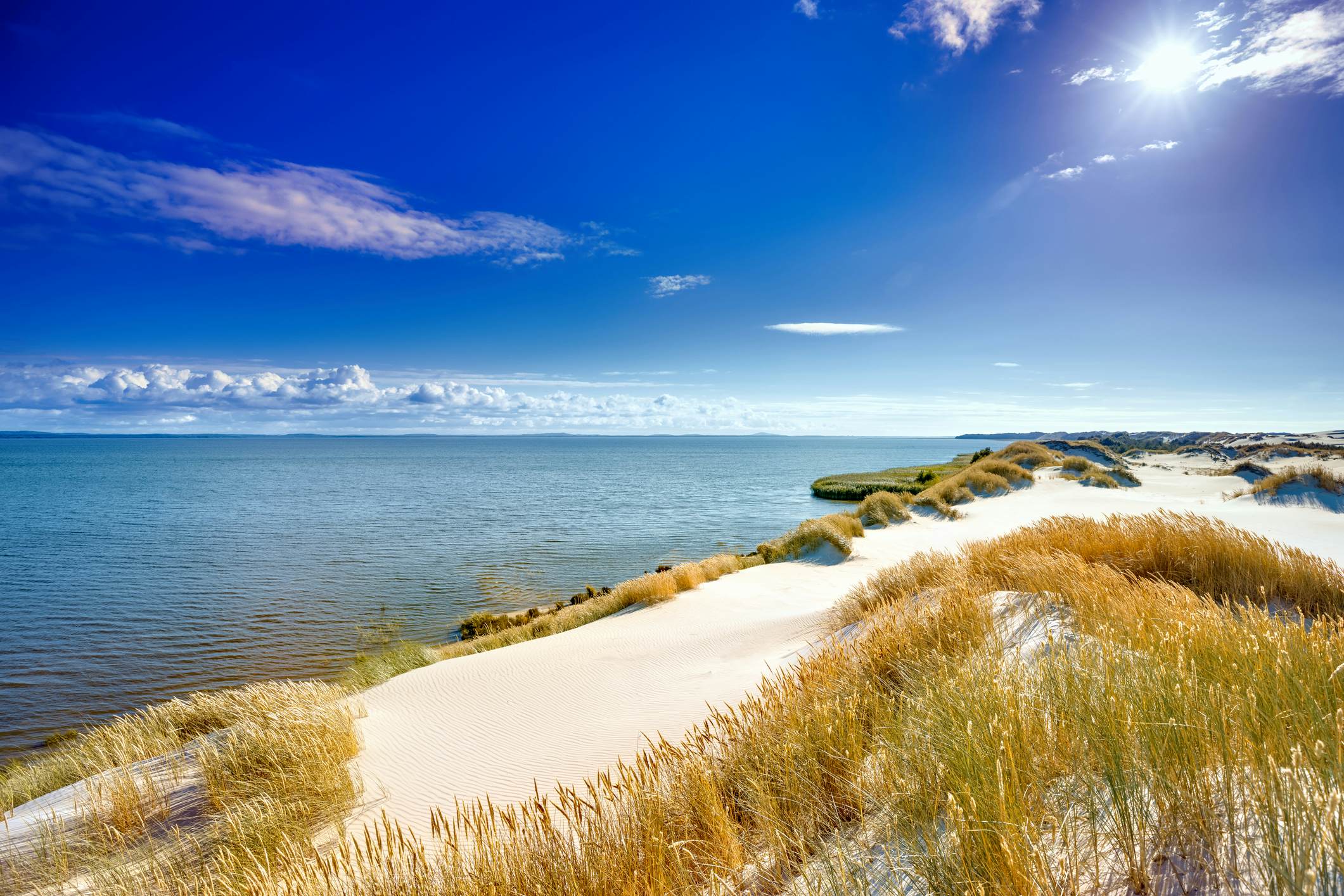 Coastal dune landscape in Słowiński National Park, Poland.