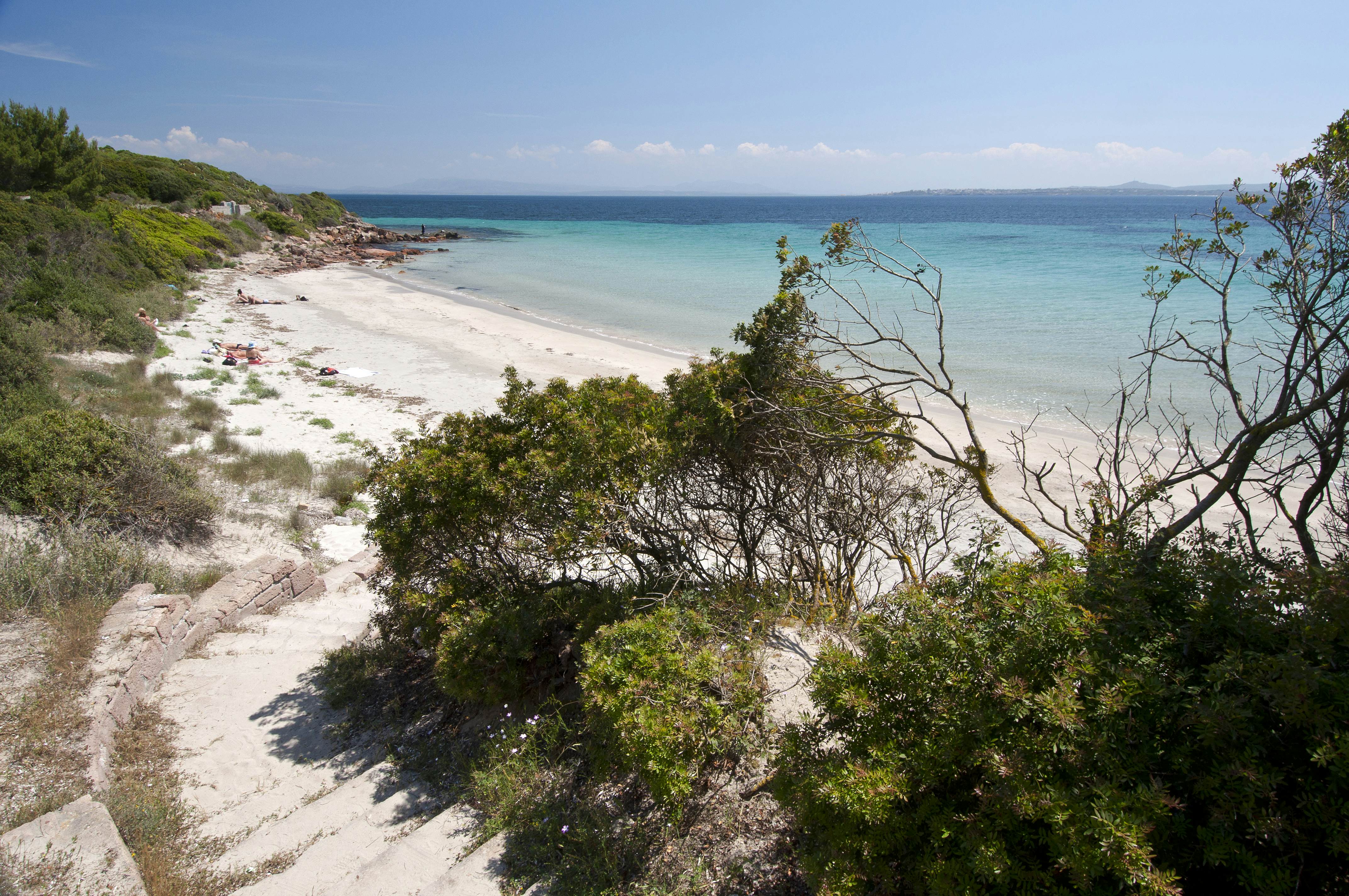 A large arc of white sand backed by foliage with a few sunbathers