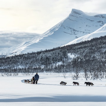 Dog sleds pass through a snowy landscape near Tromsø in the Norwegian Arctic.