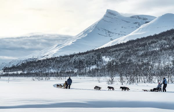 See the best of Arctic Norway on this week-long road trip itinerary