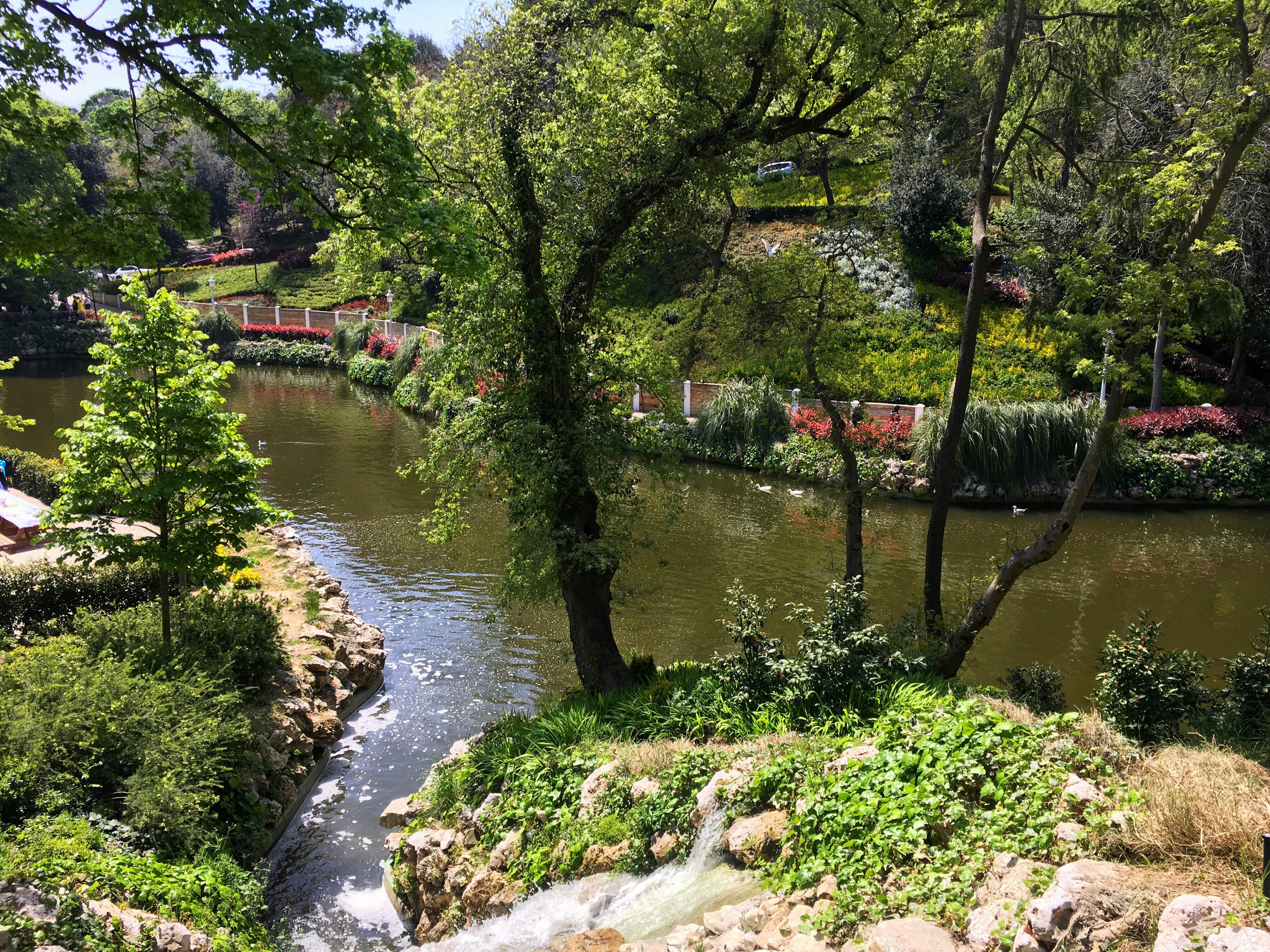 Lake and trees inside the Yıldız Park, Istanbul city.