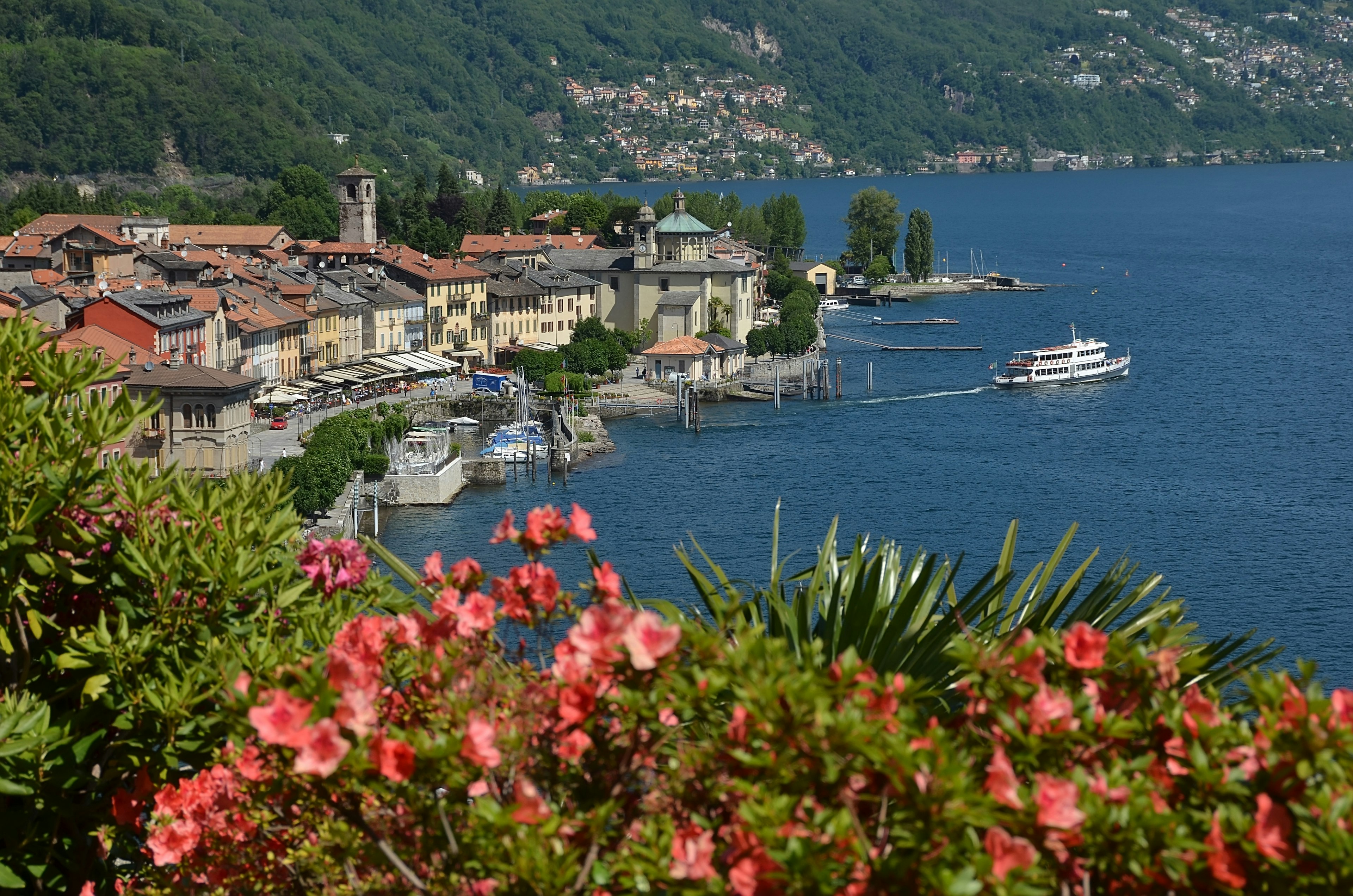 A lakeside town with springtime azaleas in bloom