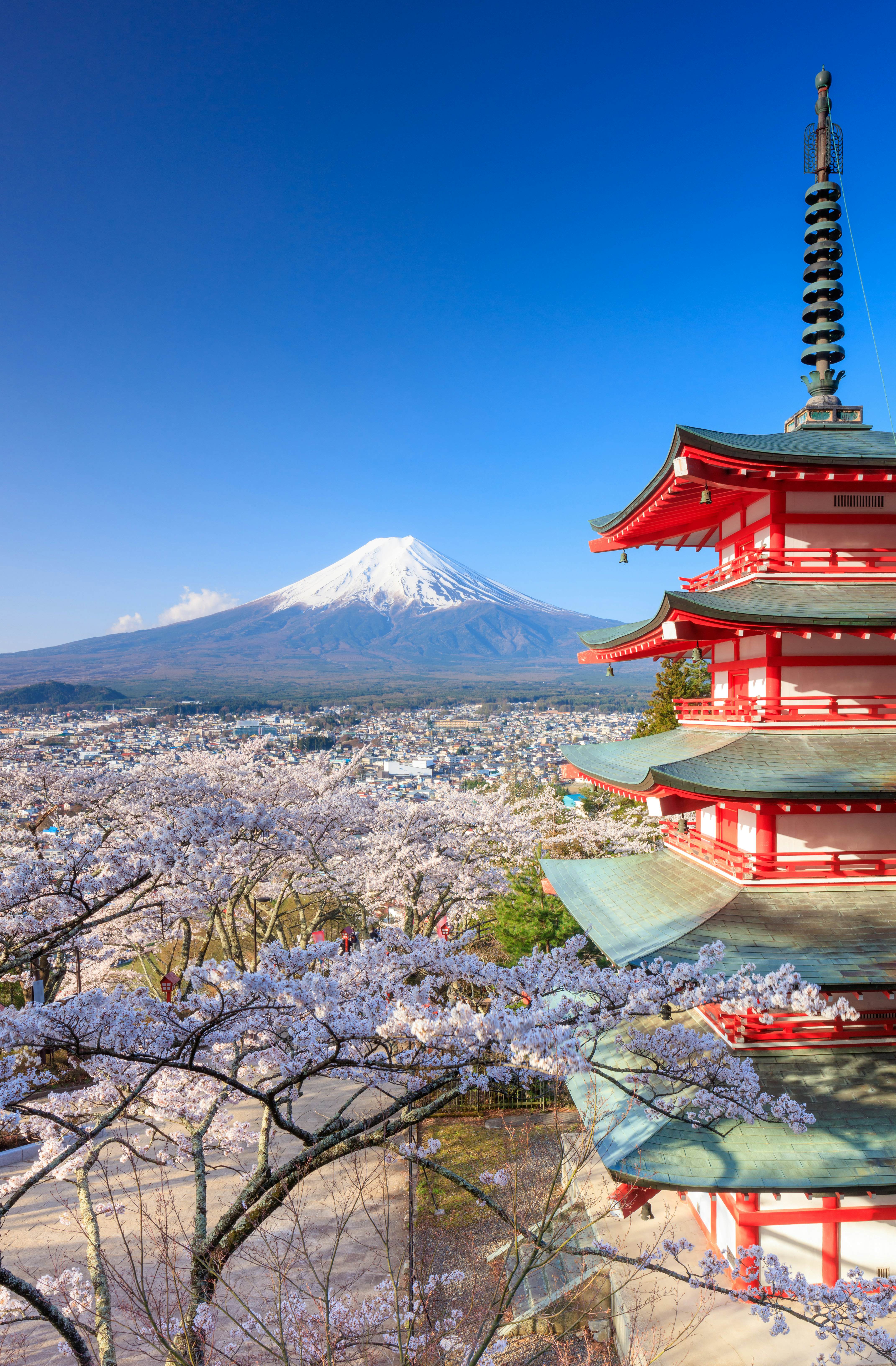 Fujiyoshida, Japan - April 15, 2016 : The Chureito Pagoda, a five-storied pagoda also known as the Fujiyoshida Cenotaph Monument, was built in 1958.