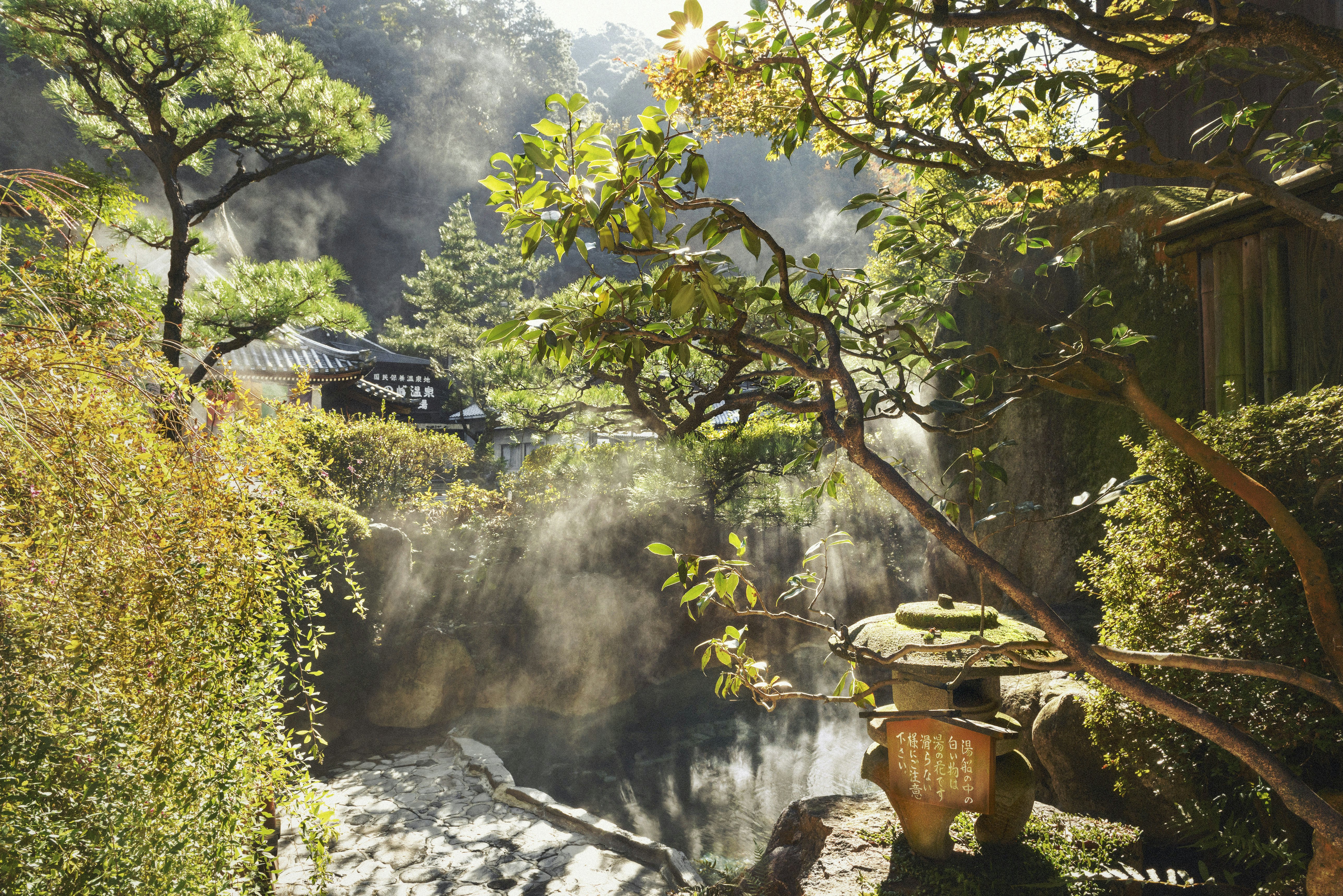 Steam rises off an outdoor hot spring surrounded by foliage.