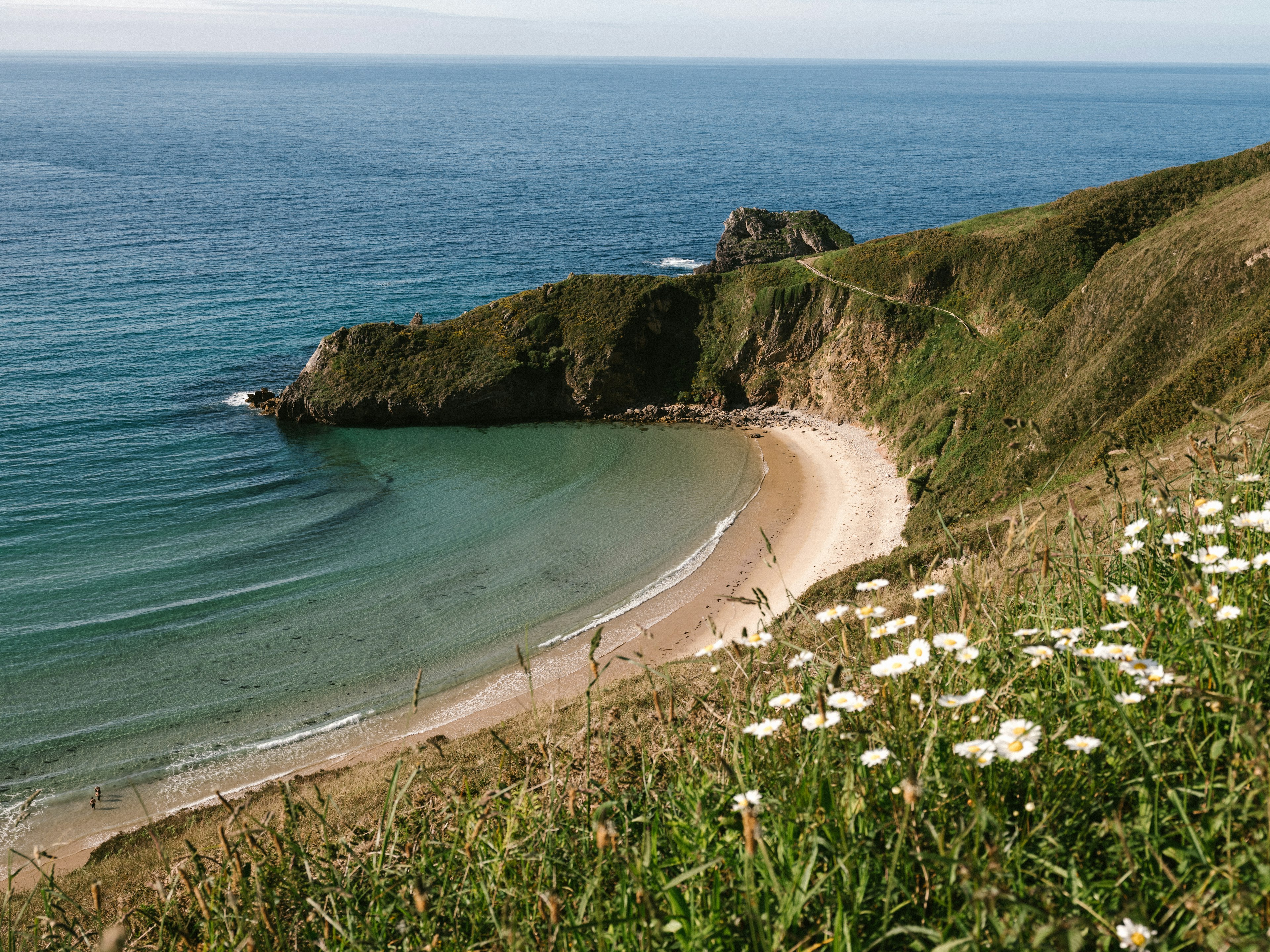 A beach backed by scrubland and wildflowers viewed from a clifftop