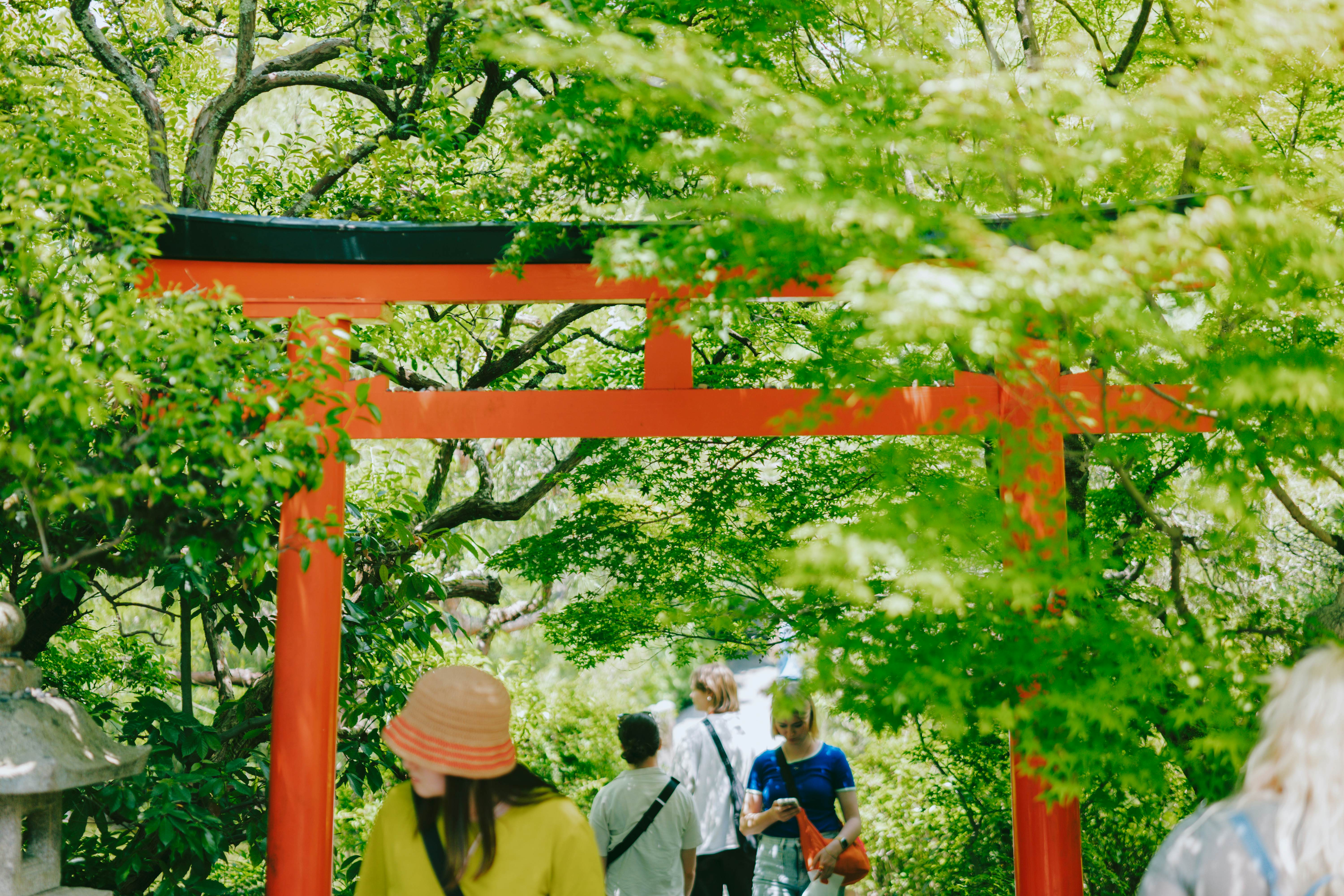 KYOTO, JAPAN. MAY 2024

Ryōan-ji Buddhist temple