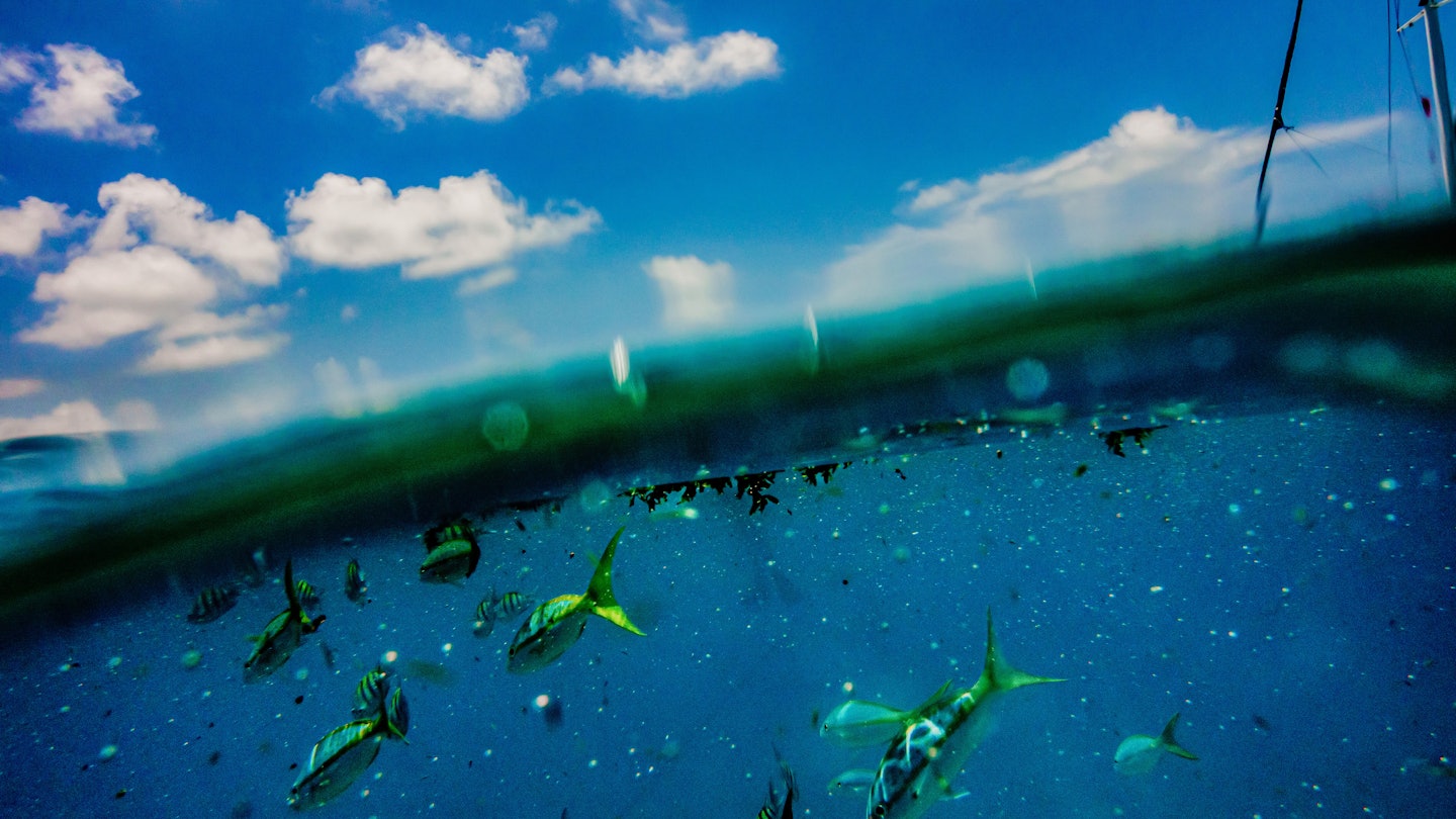 Florida Keys on Wednesday, Aug. 9, 2023...(Photo by Scott McIntyre).
FLKEYS
MIAMI, FLKEYS, SNORKEL