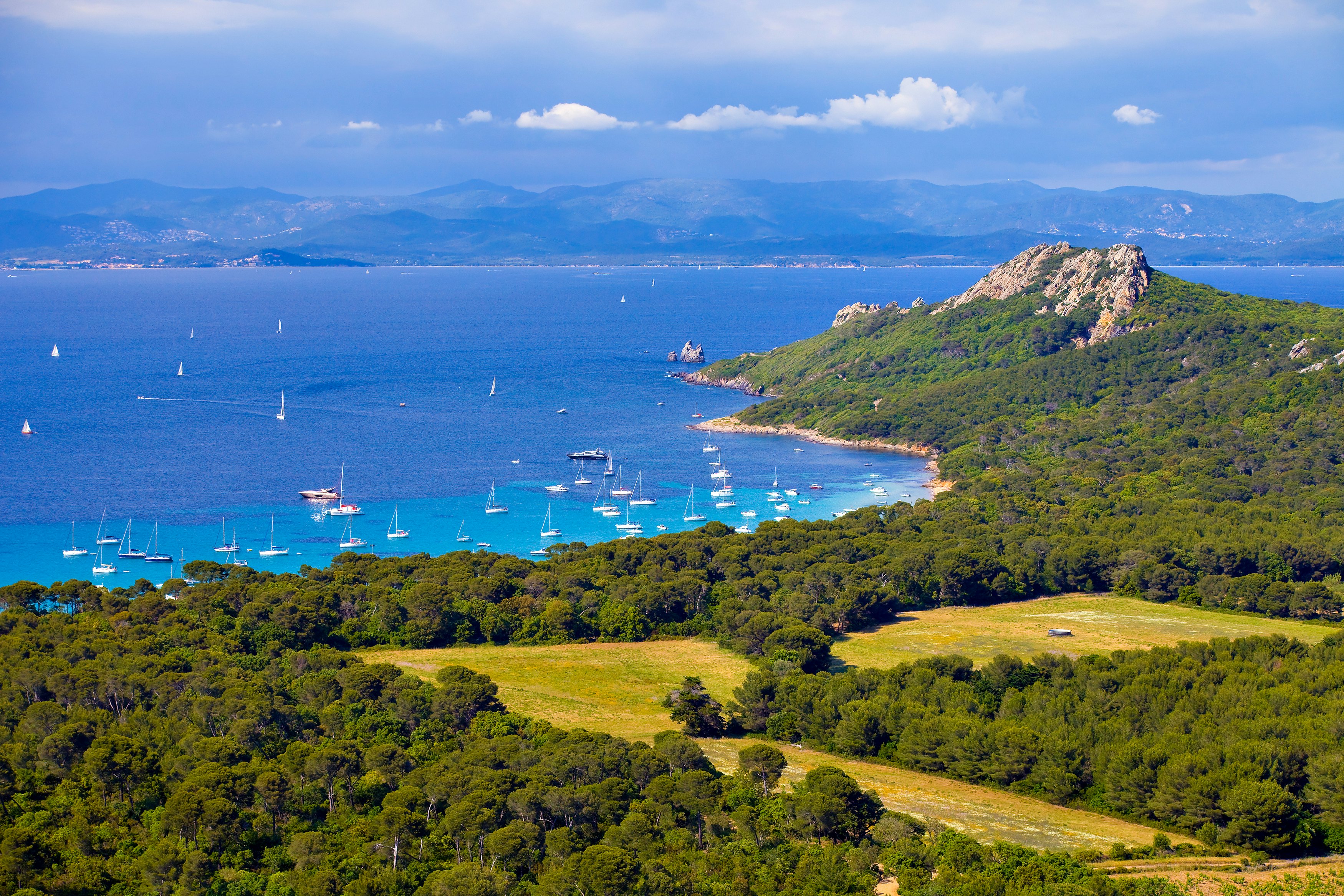 Porquerolles island is surrounded by green.