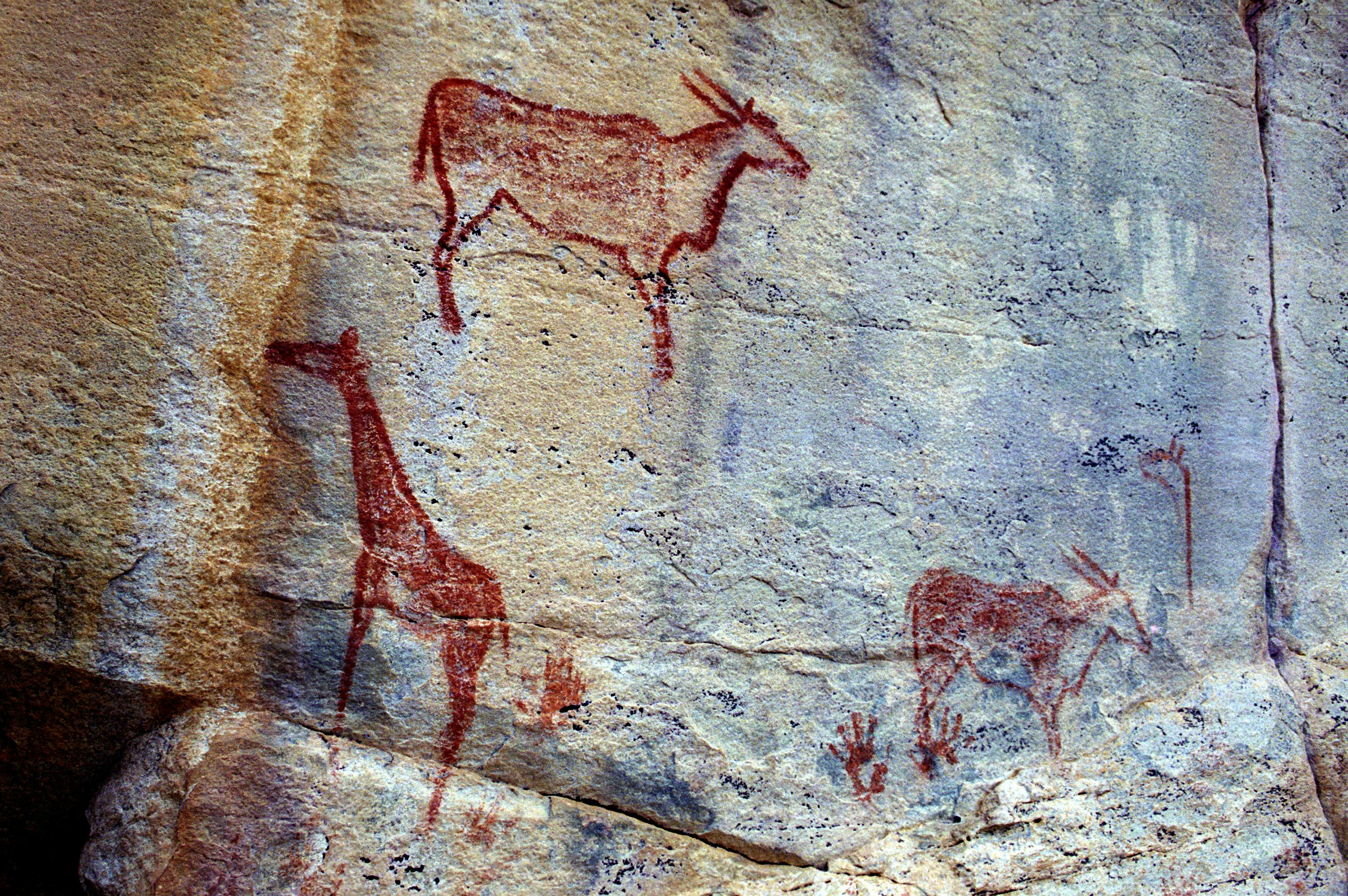 Rock art painting by San people in the Tsodilo Hills, Botswana.