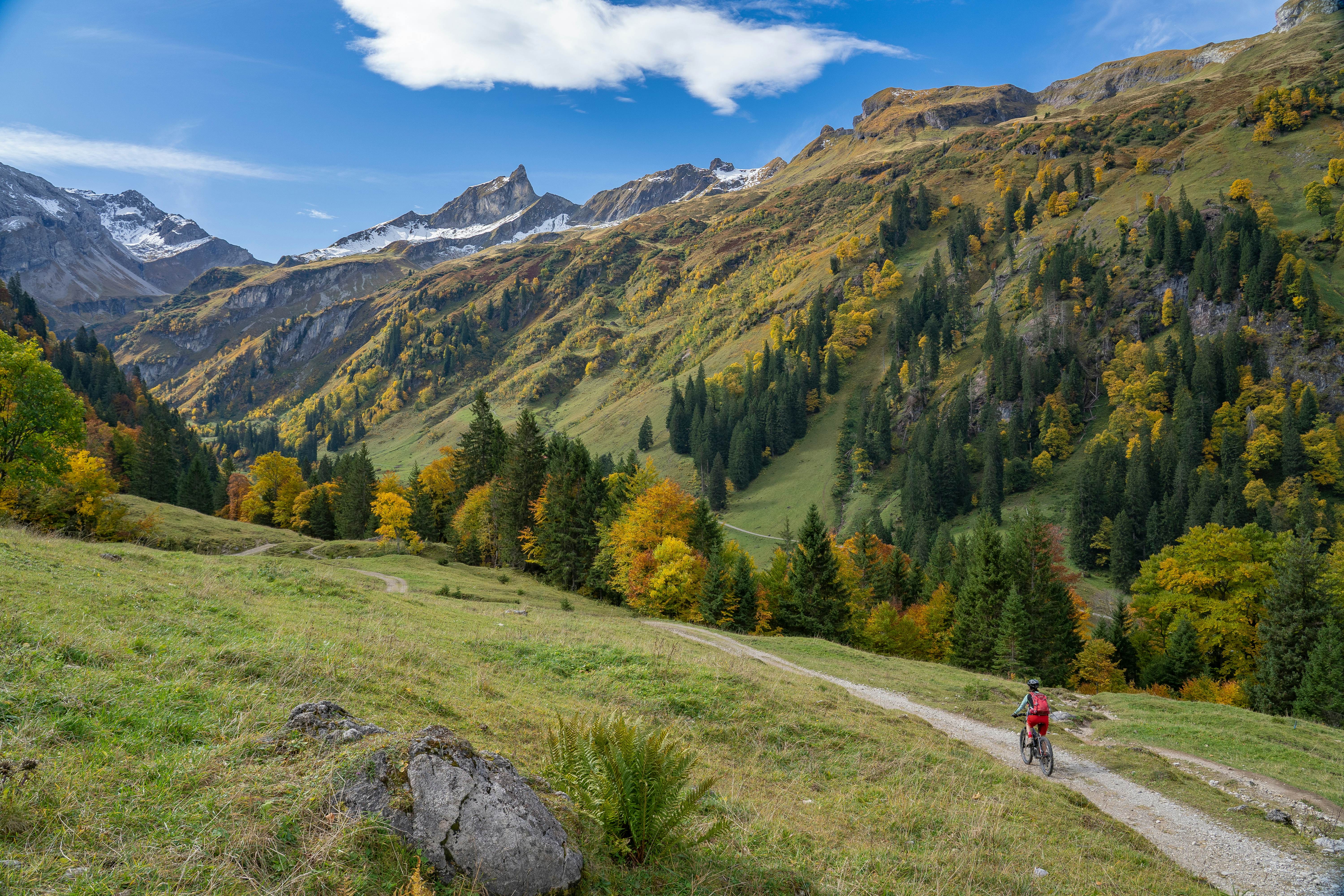 A woman cycling on a trail in the Bavarian Alps, Germany.