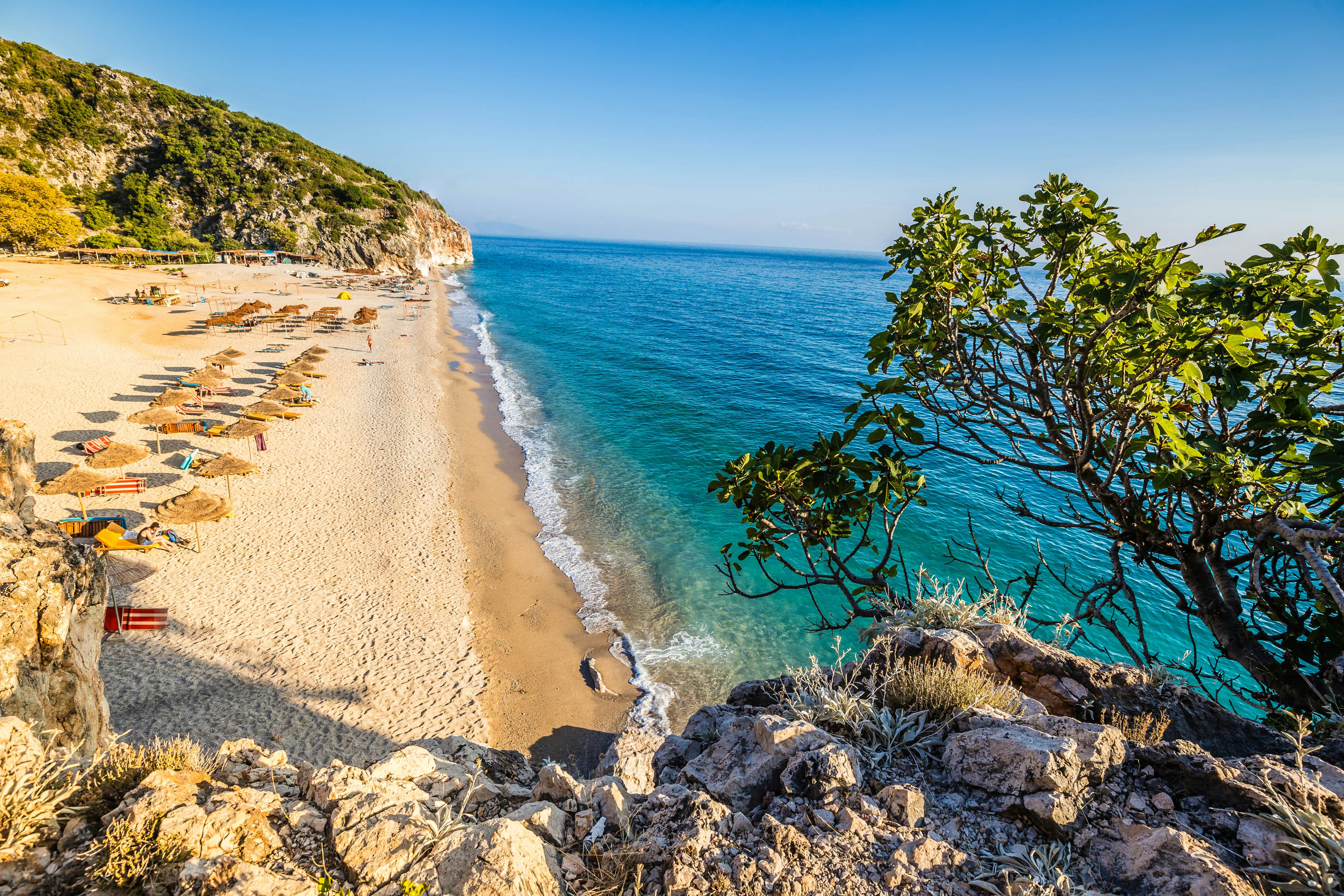 A view from above of a beach with straw sun umbrellas, as waves gently lap the sand. Plants and rocks are seen in the foreground.