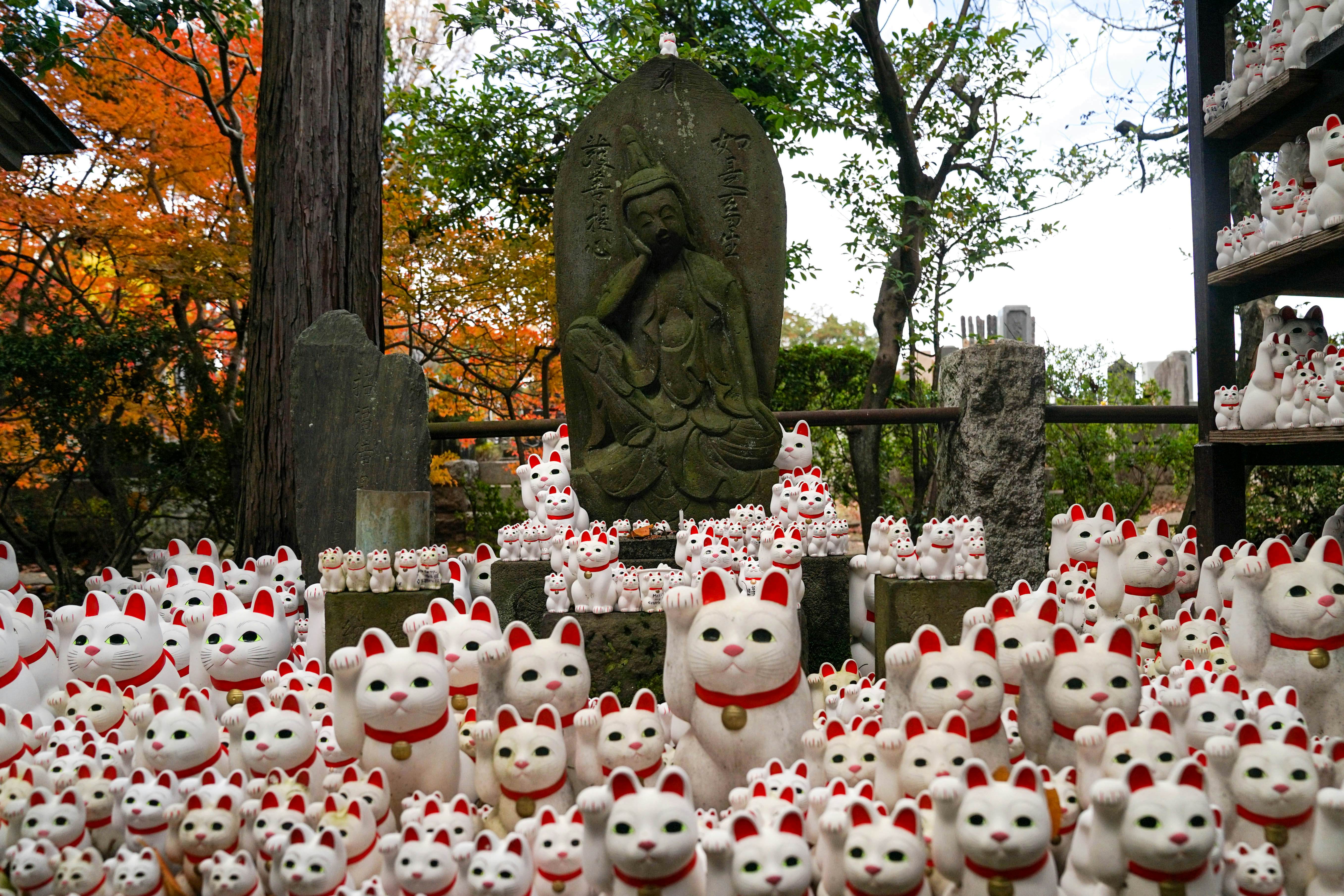 White waving cat ornaments with red ears and collars at a temple