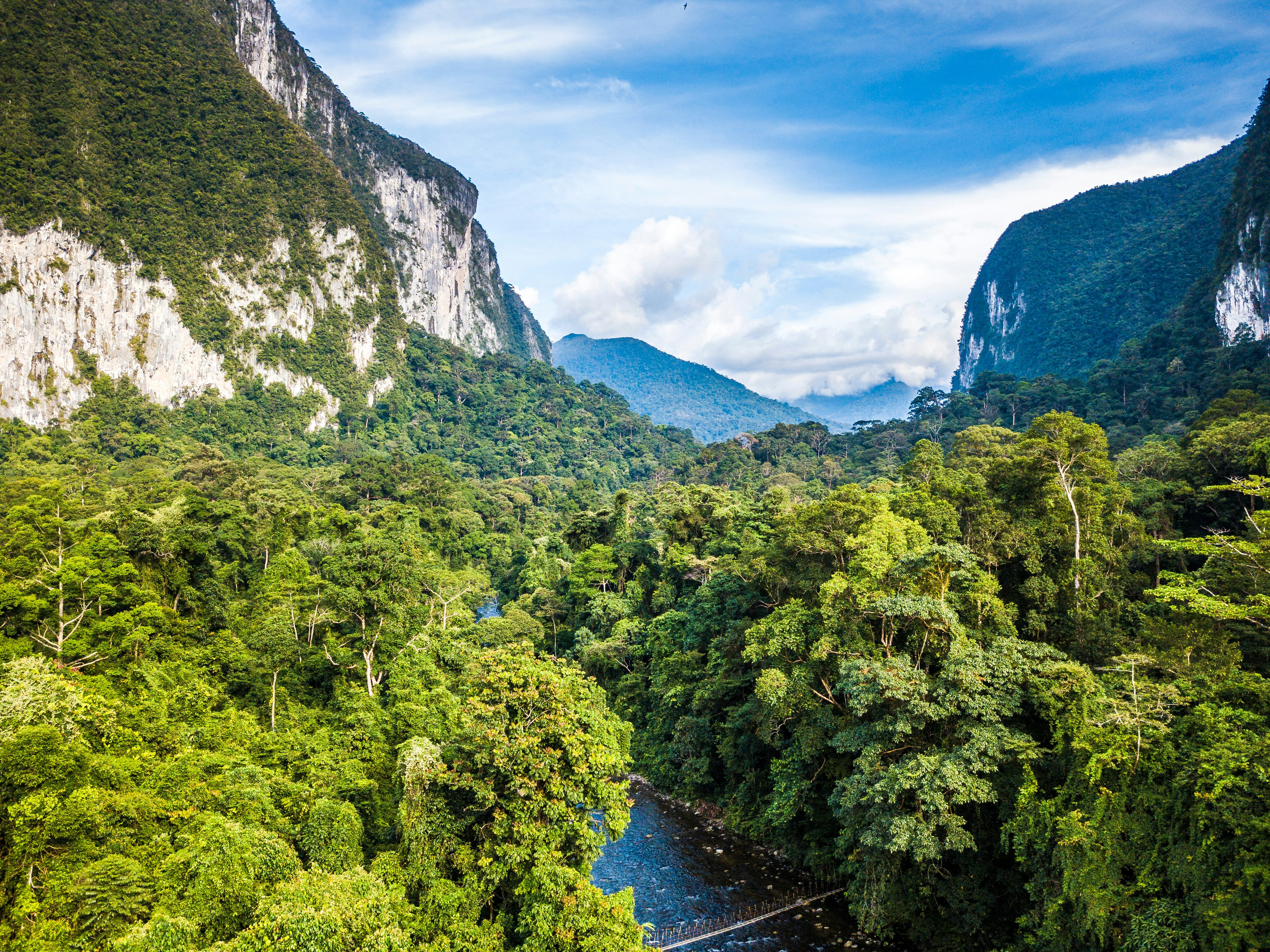 Exotic rainforest landscape from Gulung Mulu National Park in Borneo, Malaysia.