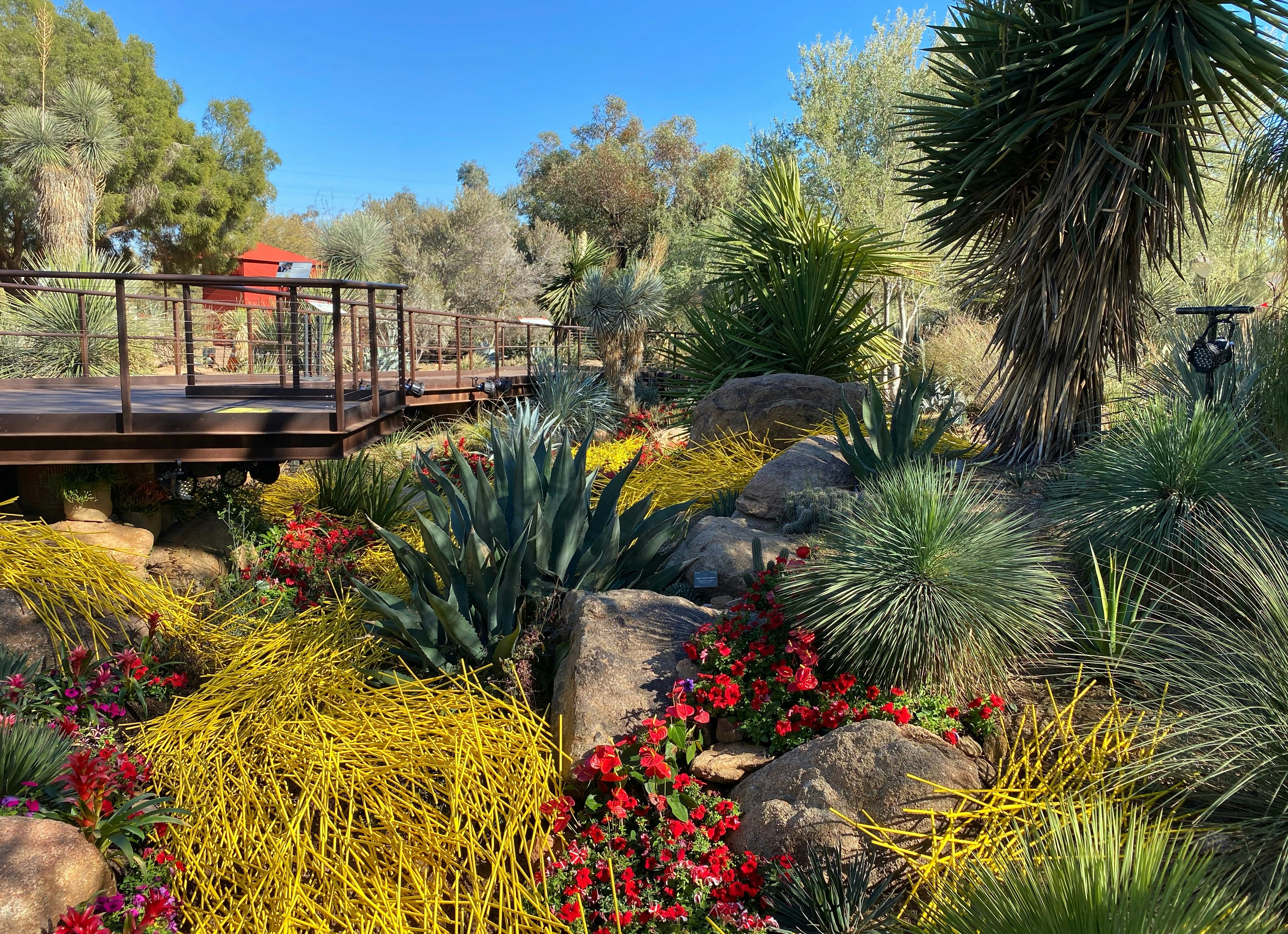 A view of an art installation of abstract yellow sticks running through a wash in the Desert Botanical Garden