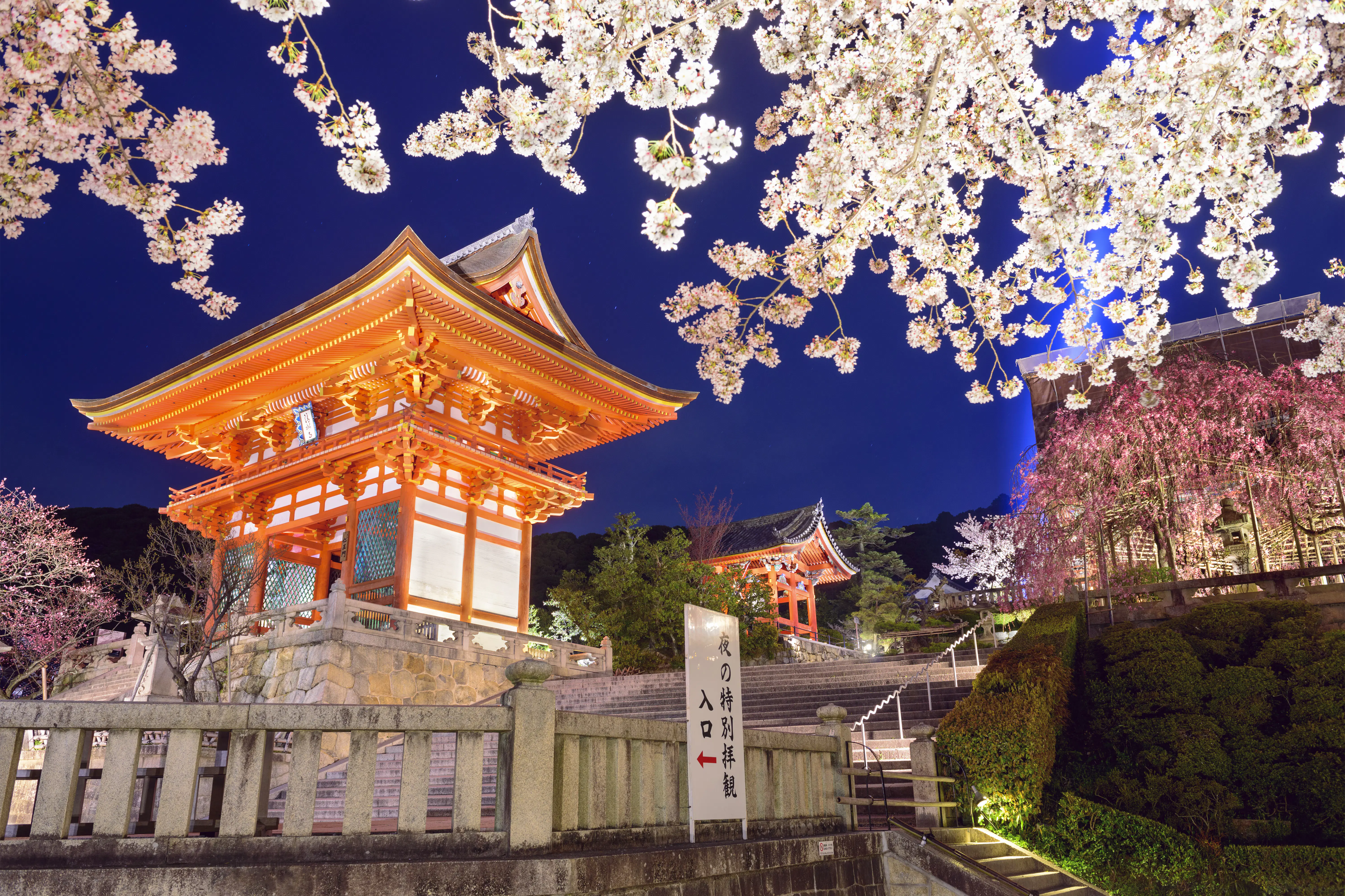 The 11 best temples and shrines to visit in Kyoto - Lonely Planet