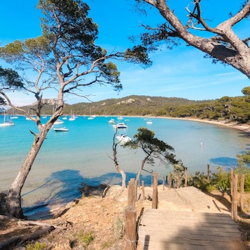 Landscapes, summer Mediterranean sea and beaches of the island of Porquerolles, in Hyères, in the Var in France License Type: media Download Time: 2023-12-06T03:33:17.000Z User: claramonitto Is Editorial: No purchase_order: