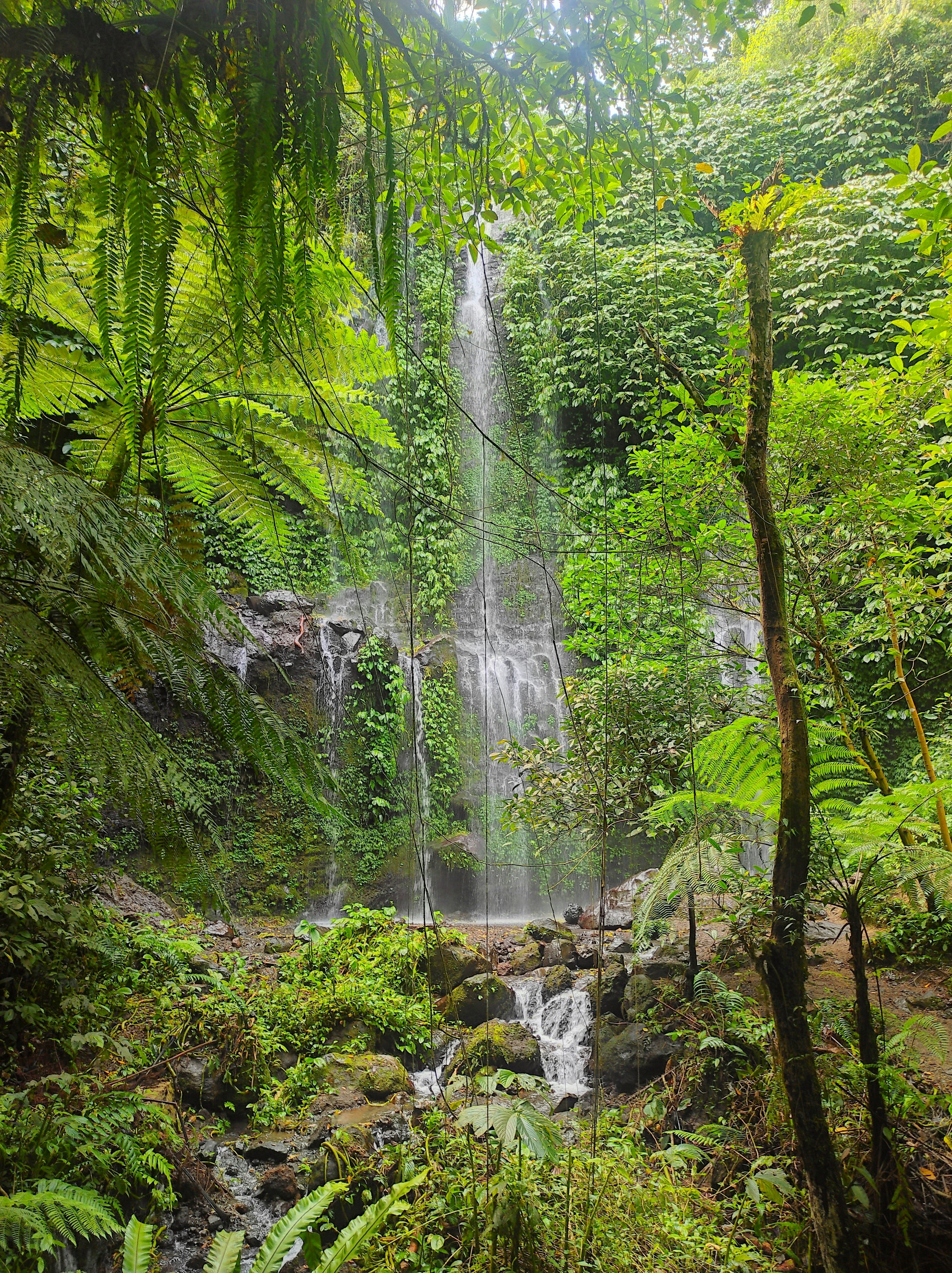 the beauty and freshness of Benang Kelambu waterfall on Lombok Island