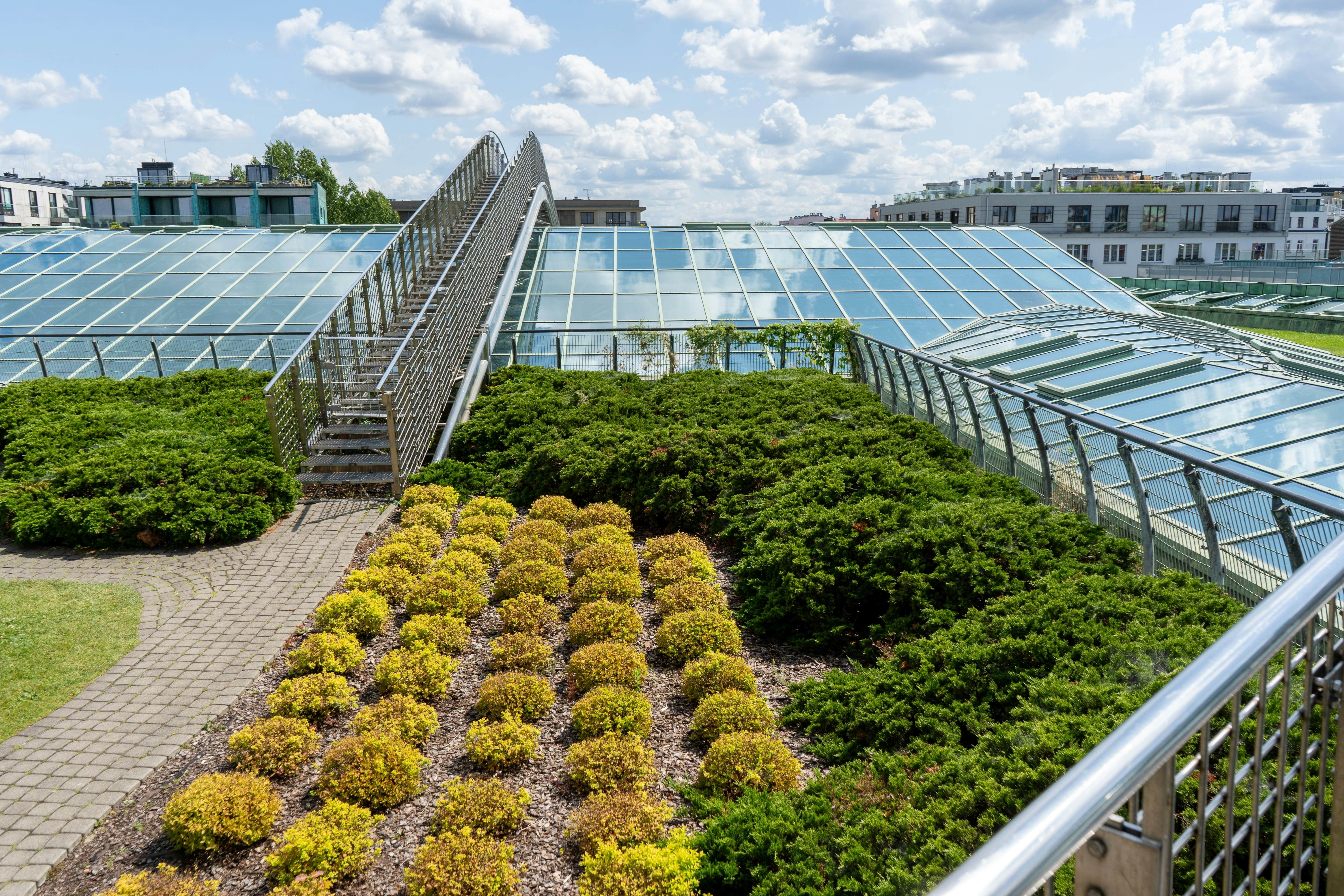 Botanical garden on the roof of the Library of Warsaw University.