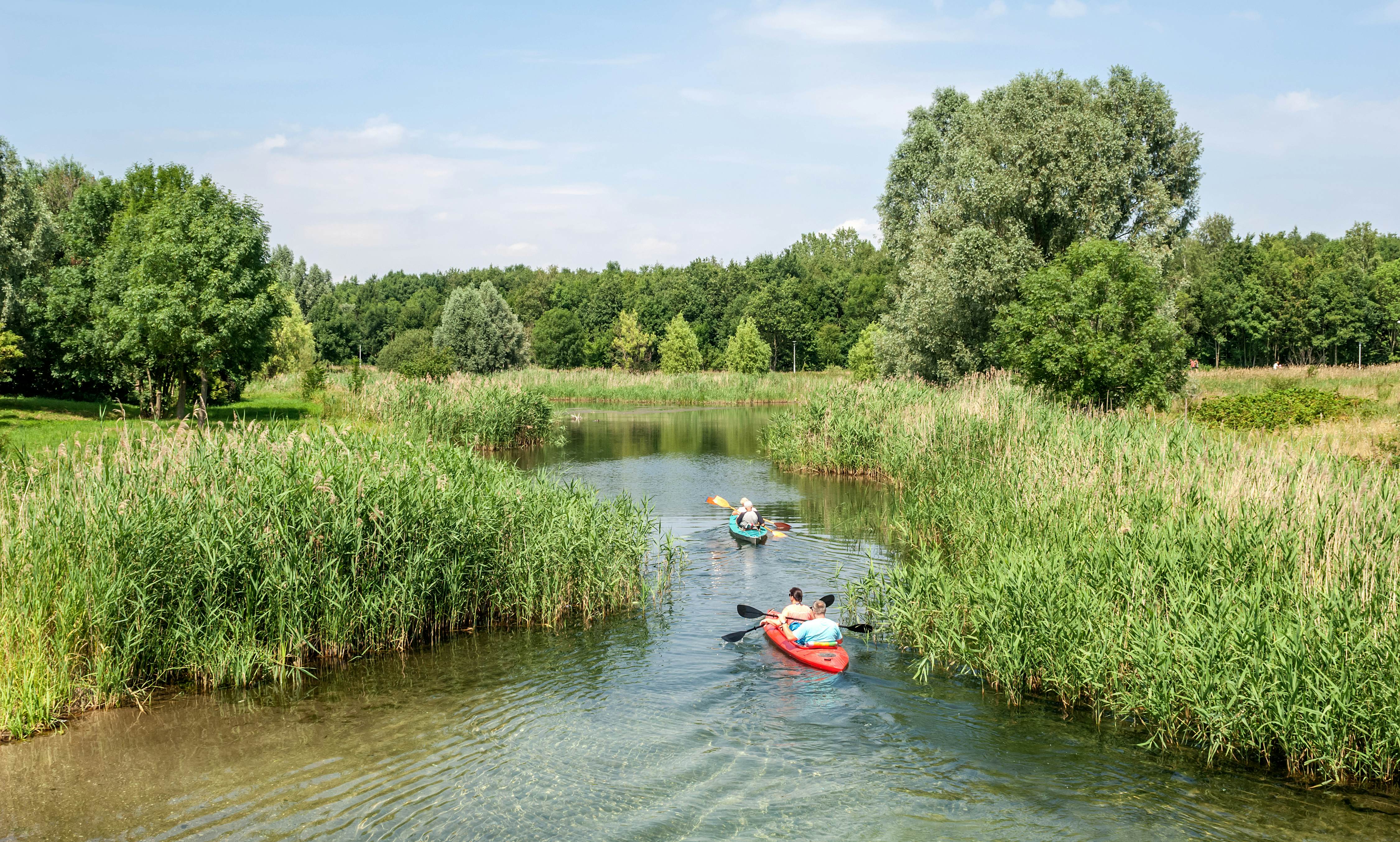 Kayakers on the fringes of the Cospudener See near Leipzig in Germany.