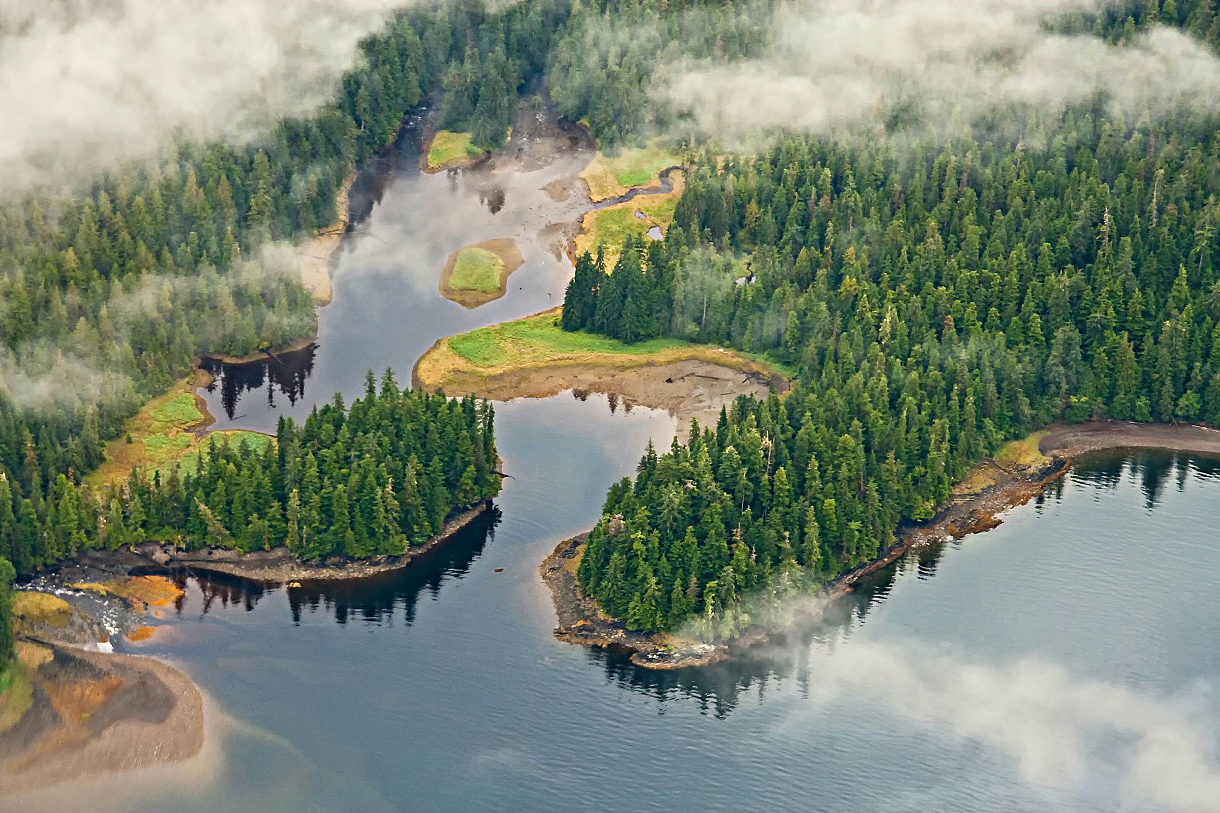 Aerial view of forests, inlets and mist in the Tongass National Forest, Alaska.