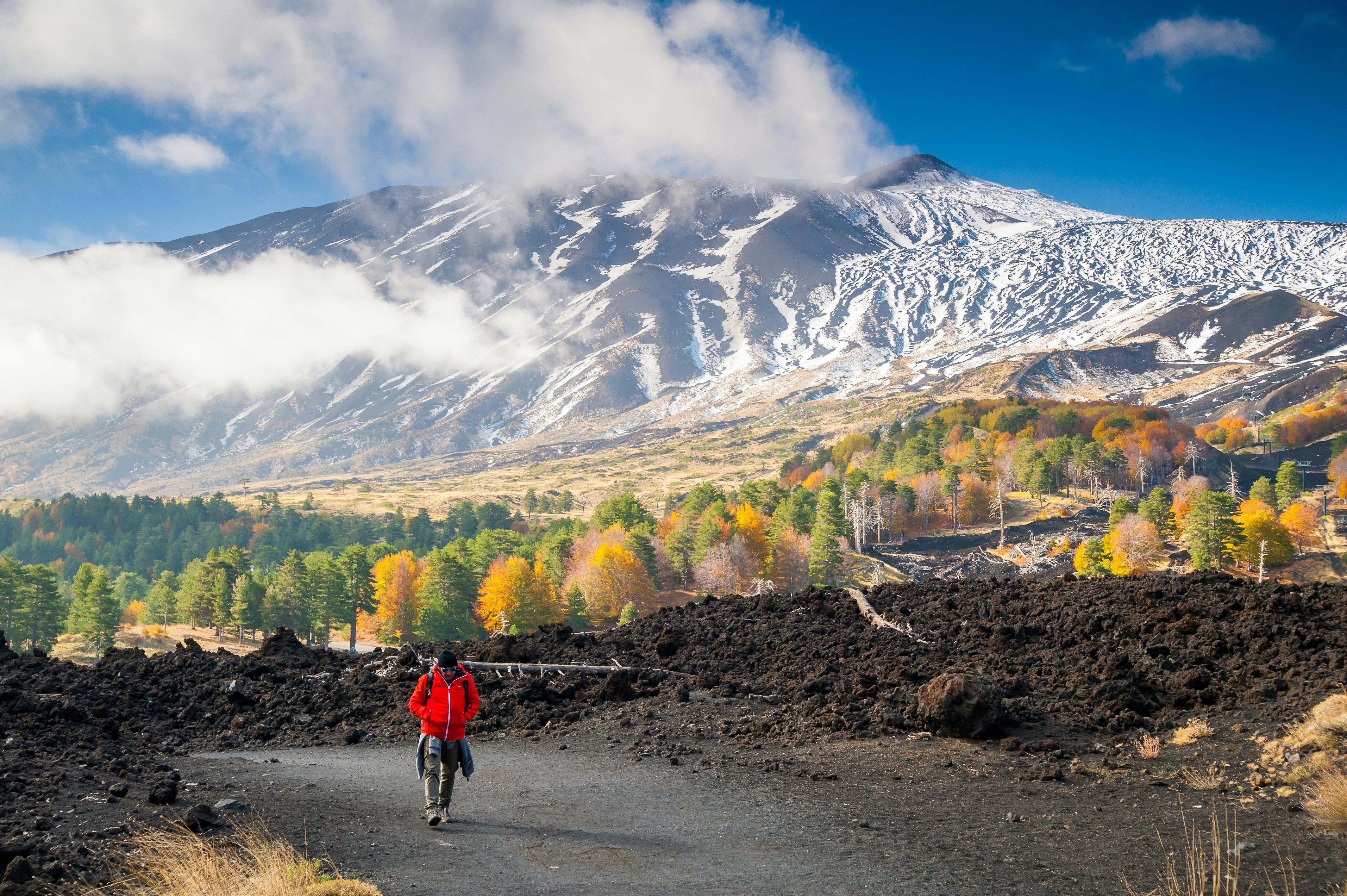 View of northern side of Mount Etna, Sicily, with a pine and beech wood and a hiker on a lavic path