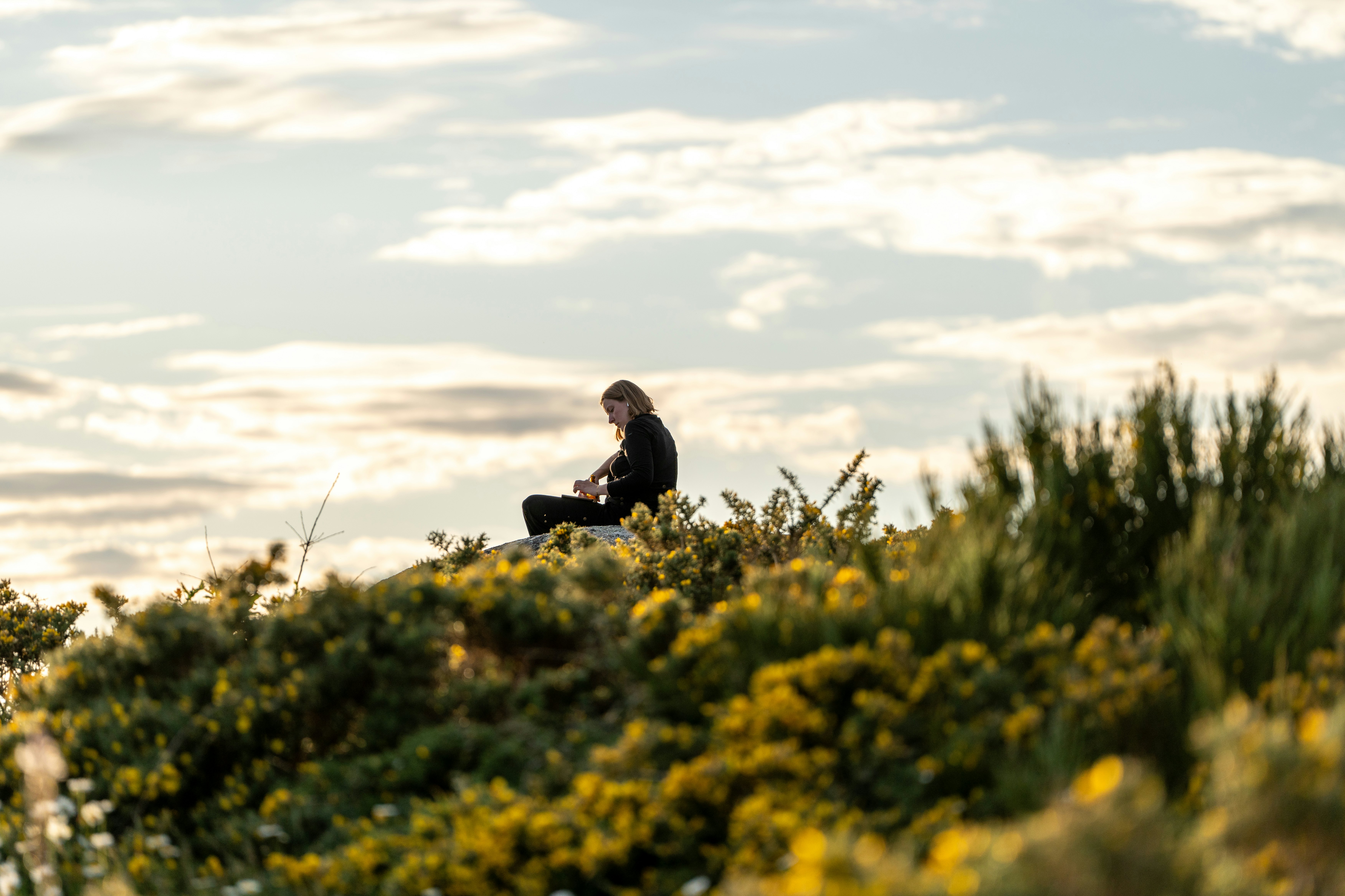 Woman sits in gorse at the edge of a cliff in Finisterre to watch the sunset.