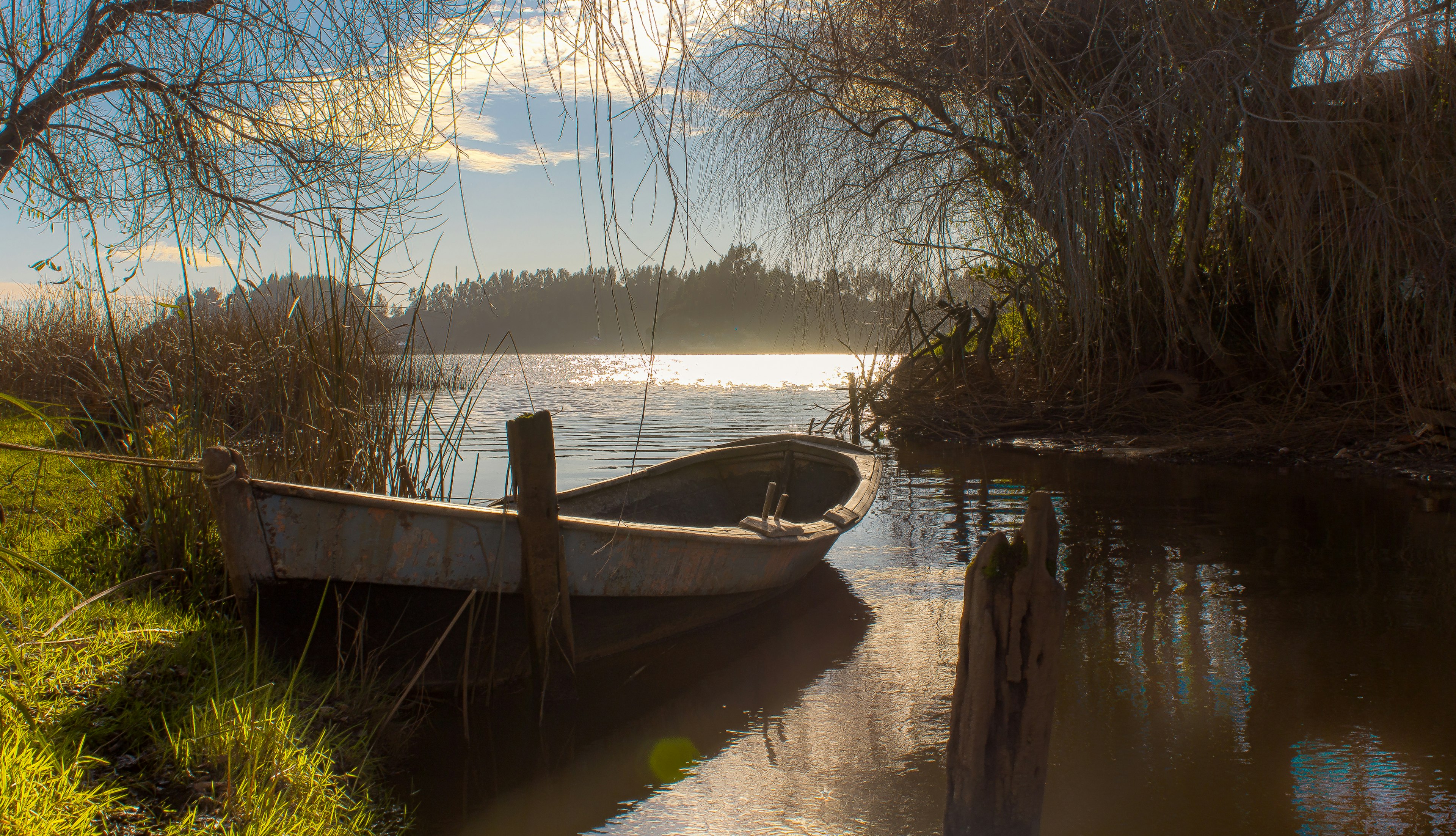 Budi lake, south of Chile