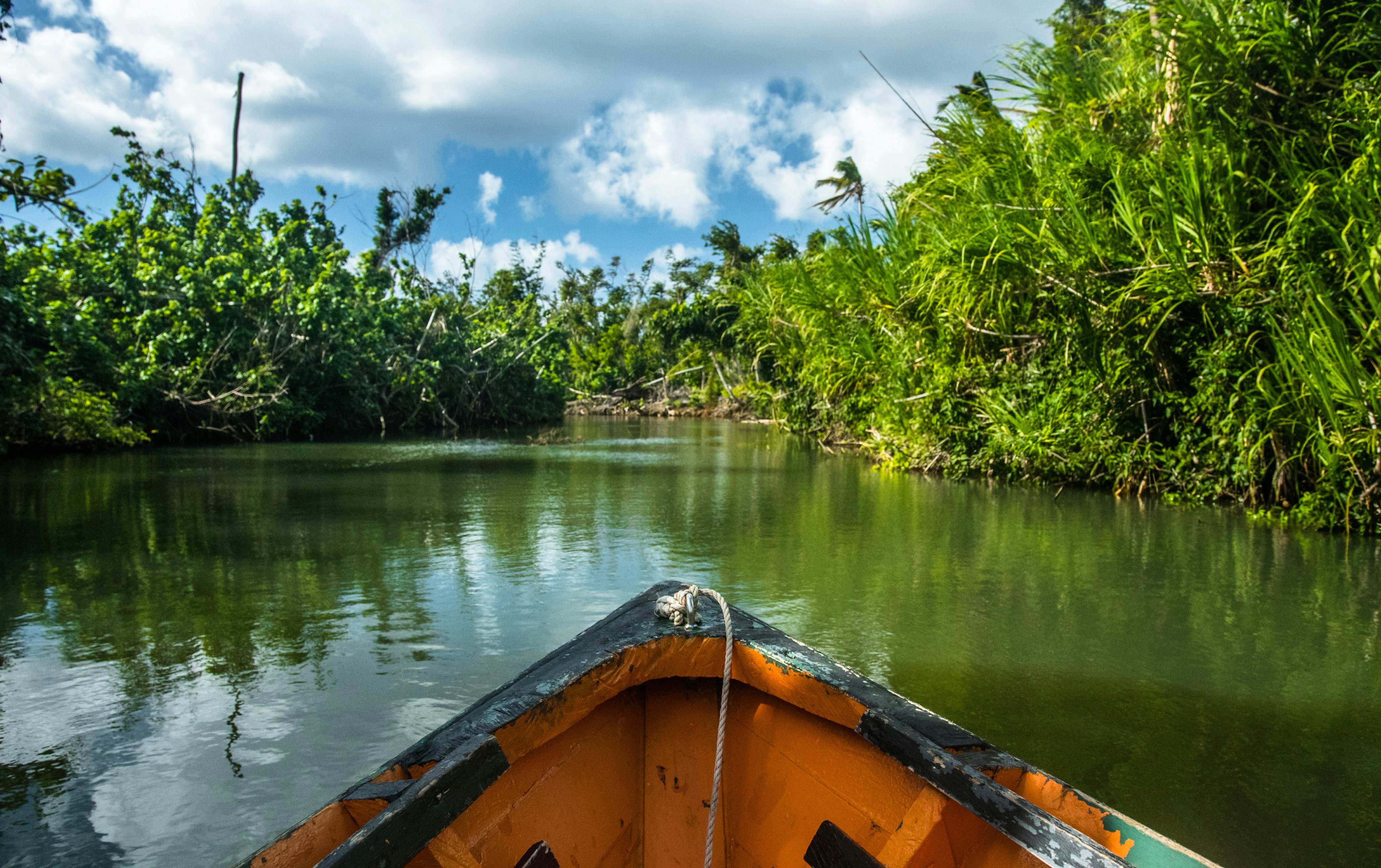 A small wooden row boat on a river surrounded by dense foliage