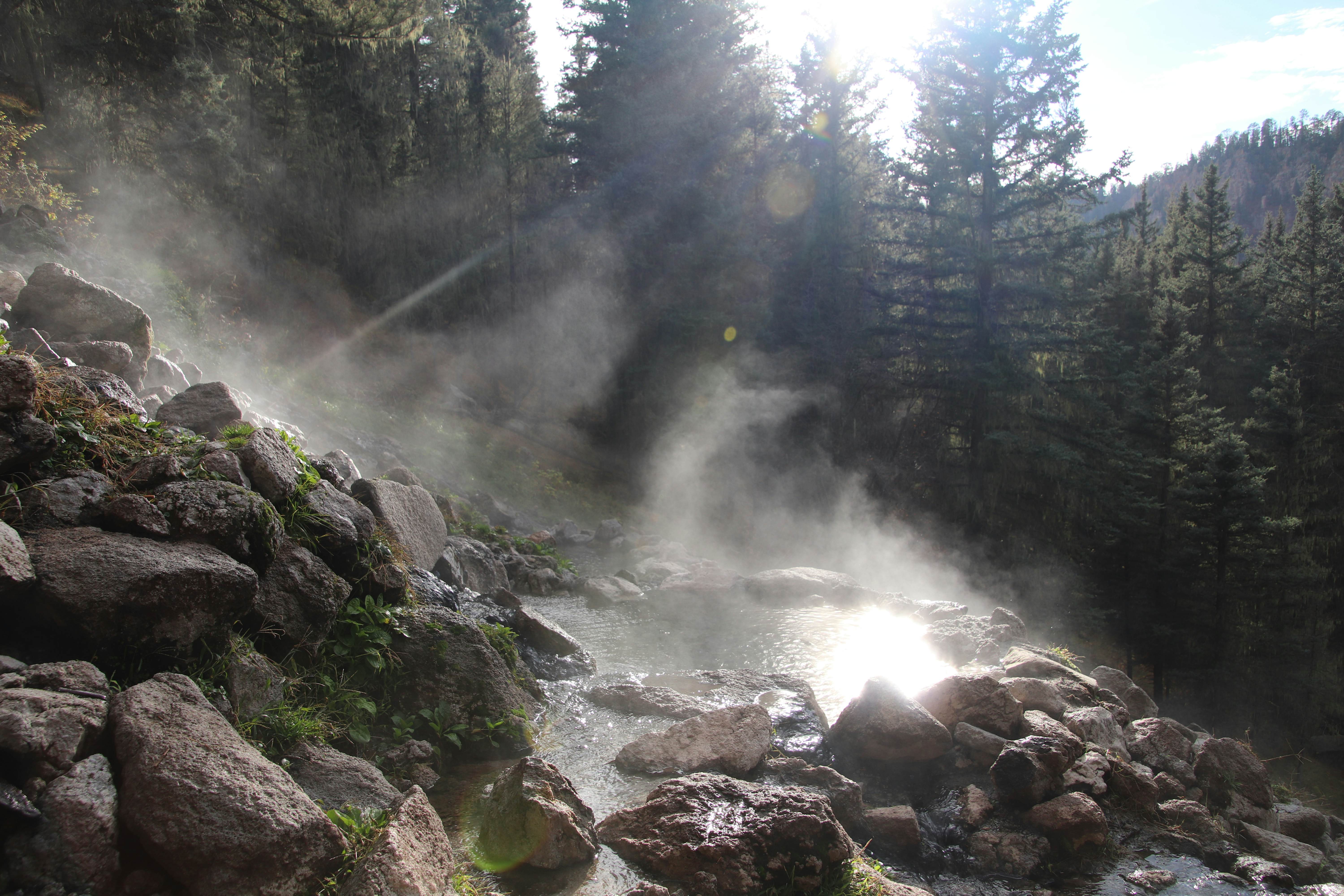 Steam rises from a natural thermal pool surrounded by rocks and forest as the sun beams down