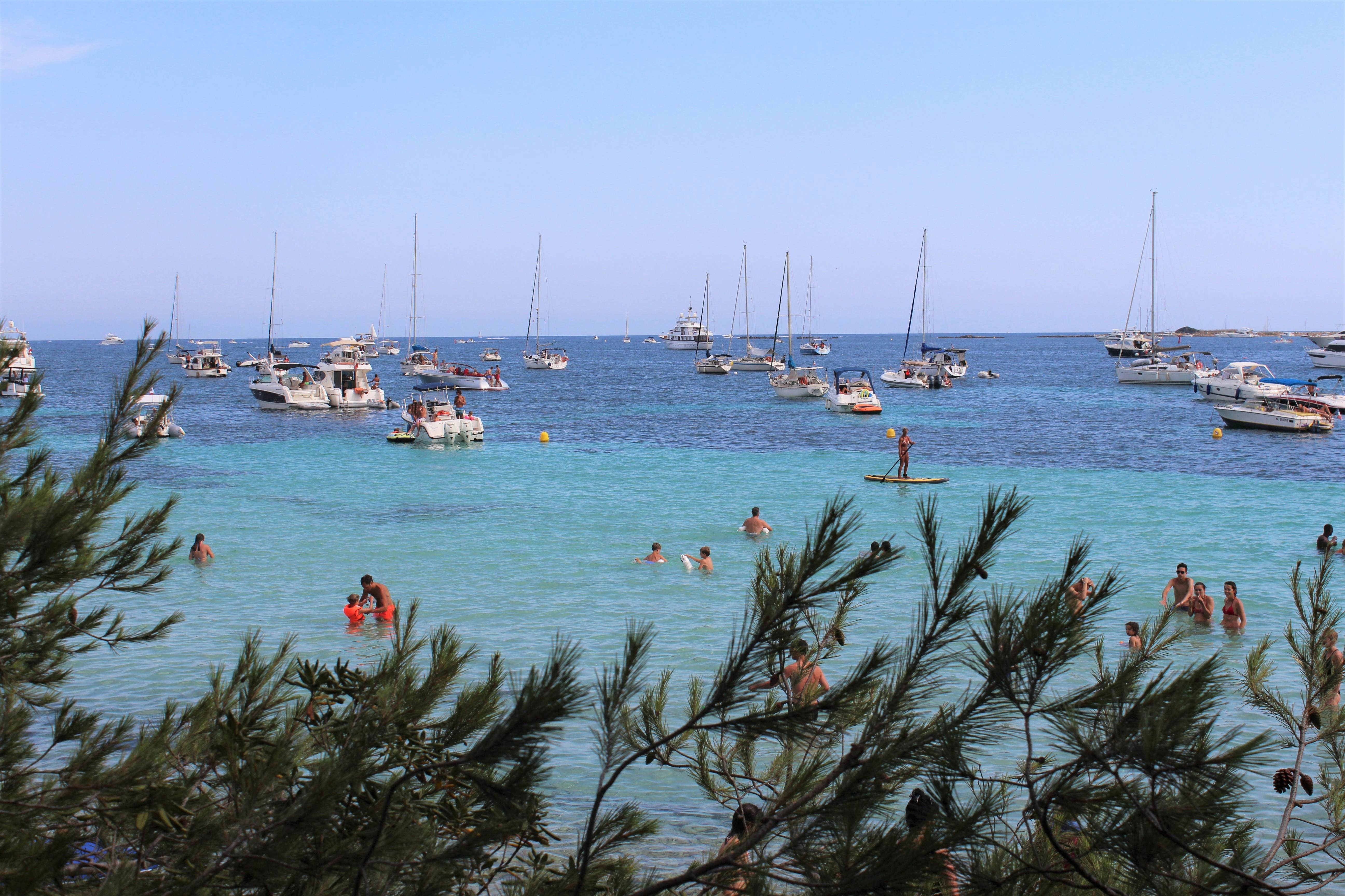 People swimming in the sea on the beach an island. Pine branches are visible in the foreground, while numerous boats are moored in the distance.