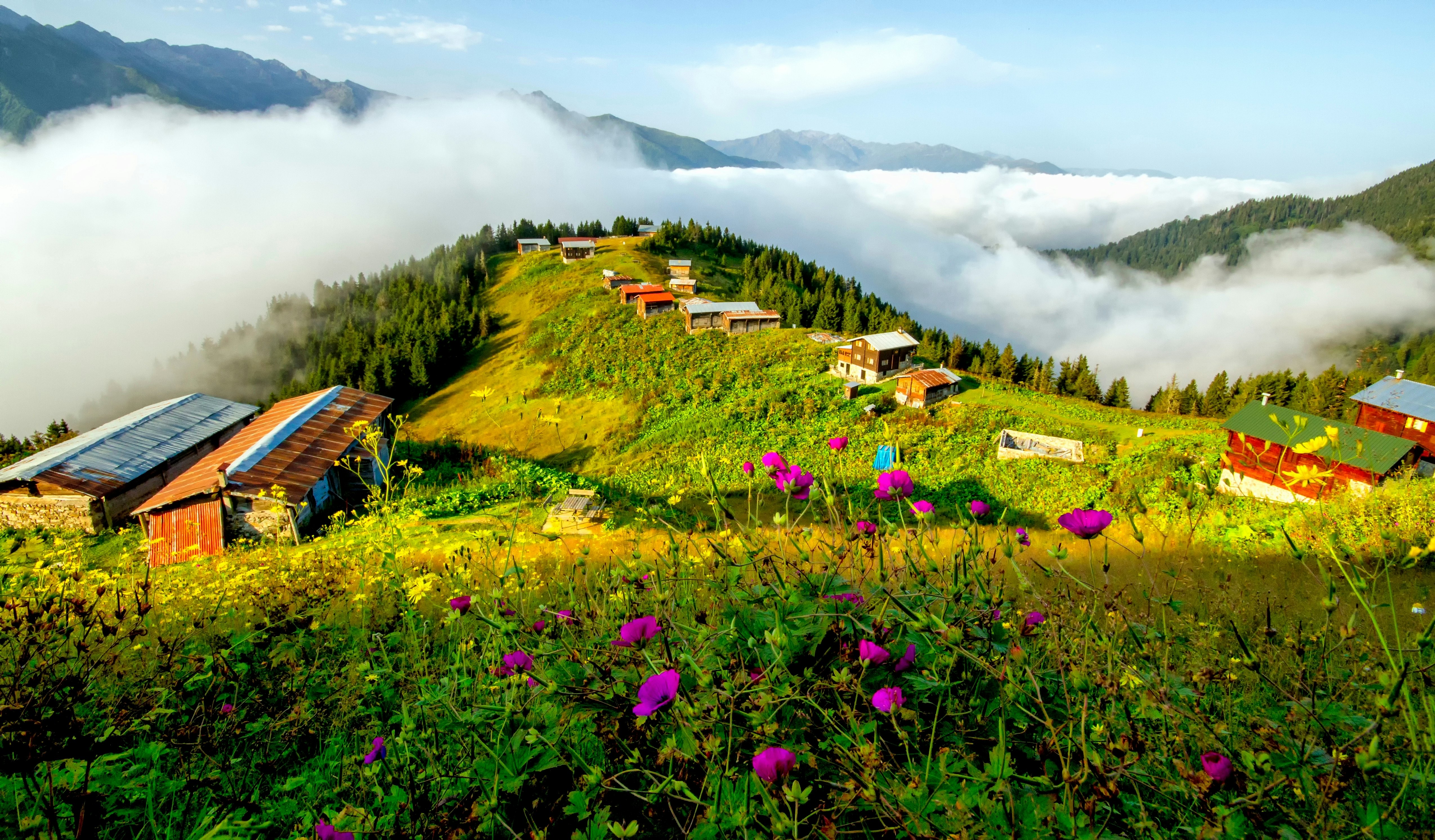 Wildflowers bloom in a mountain meadow, while clouds and mist linger in the valleys beyond. Houses and barns are visible in the distance.