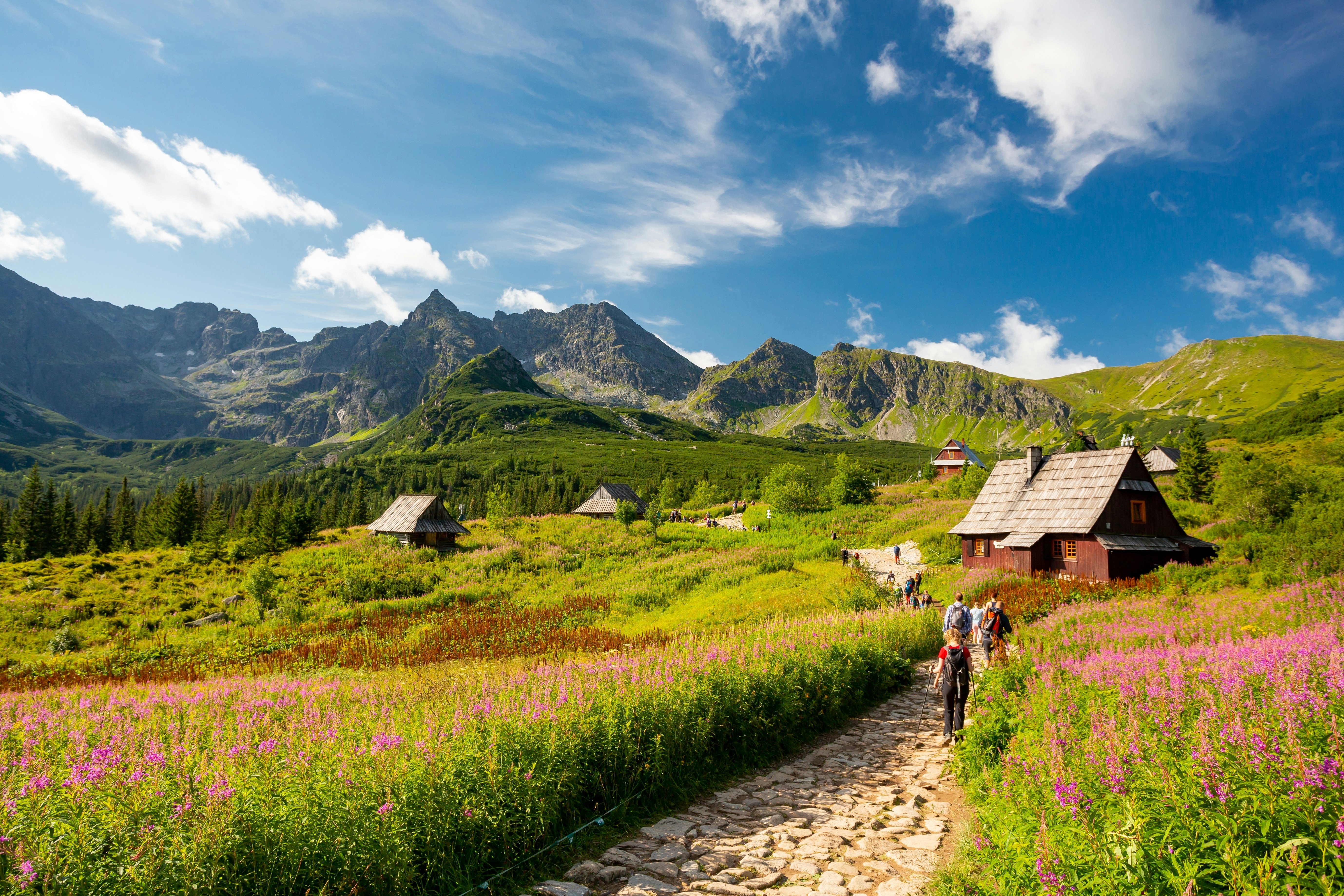 huts in front of a green mountain range
