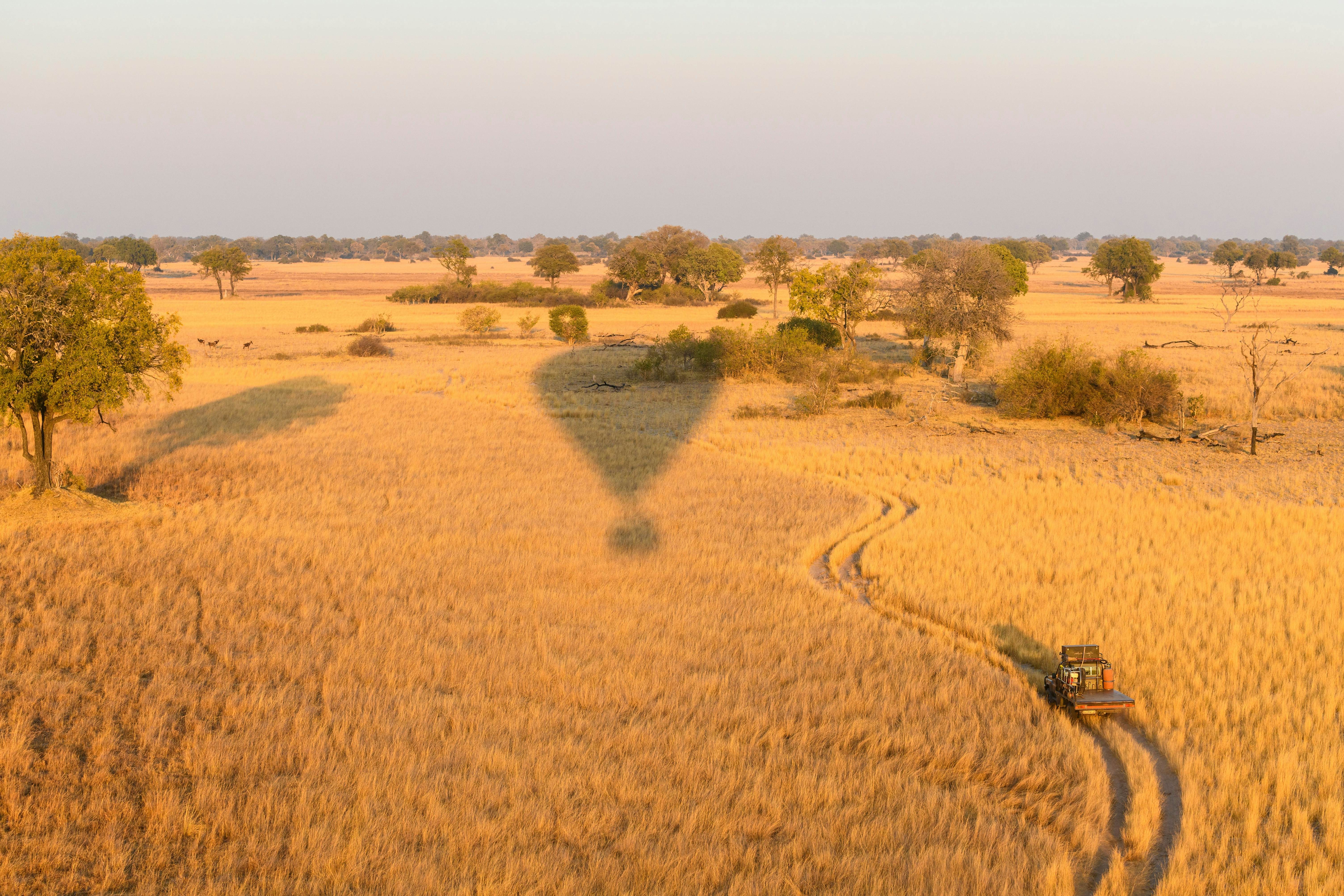 Aerial view of the okavango delta from a hot air balloon ride