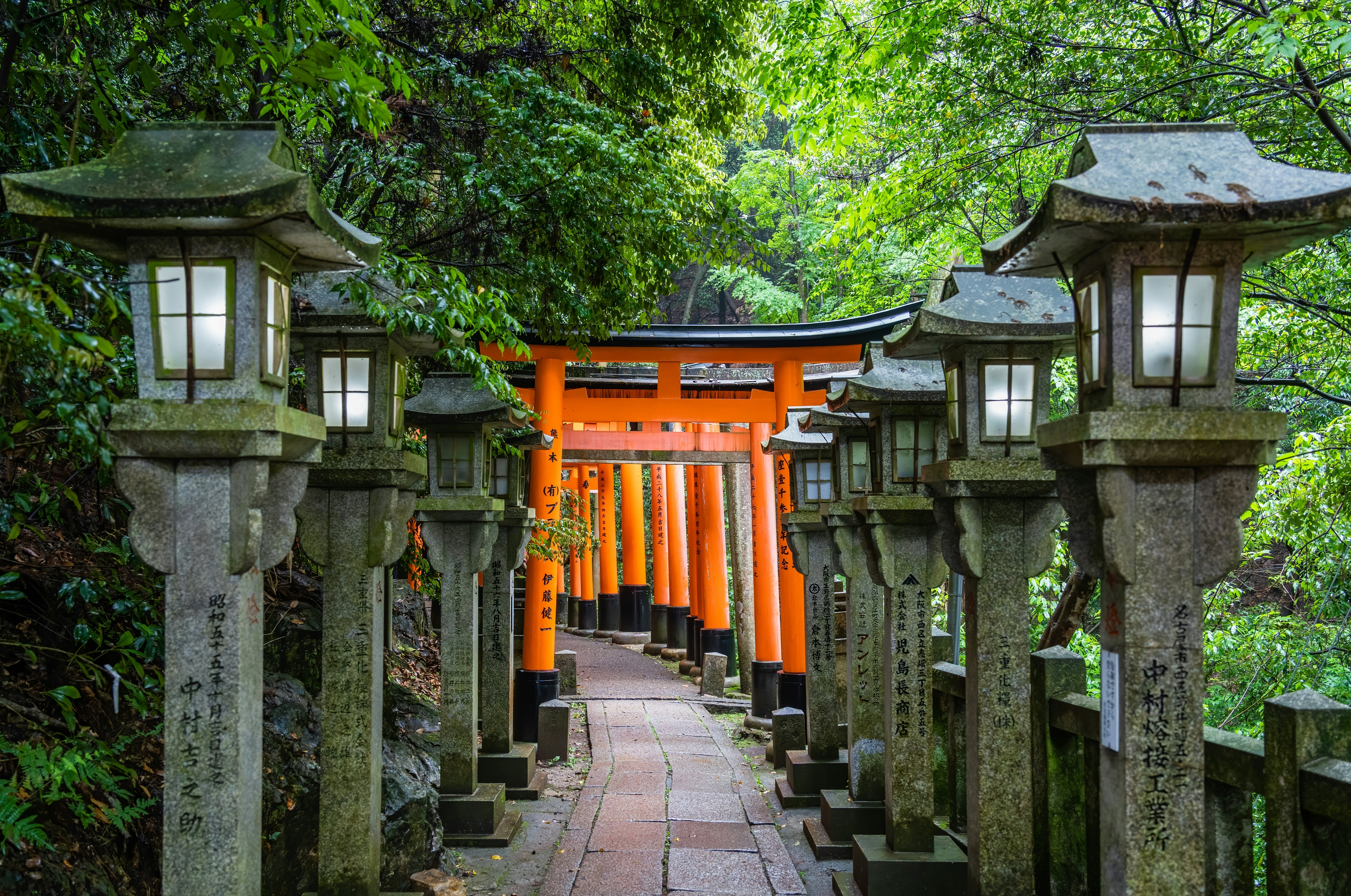 The torii gate covered walking path at Fushimi Inari Taisha temple in Kyoto, Japan.