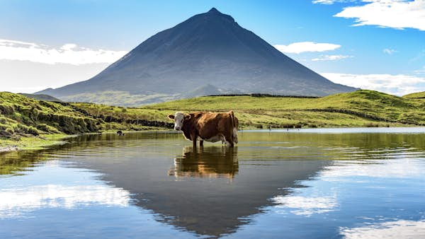 A first-time guide to the Azores